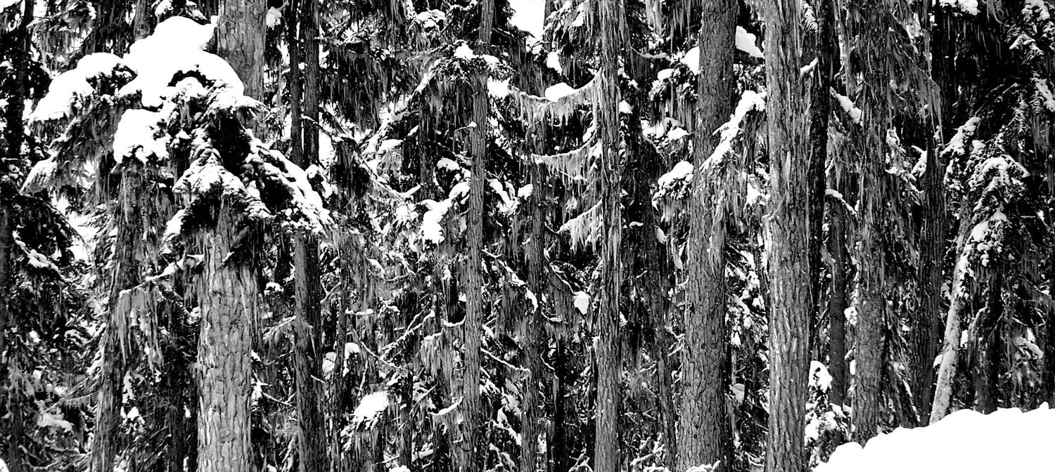 100_0894.jpg