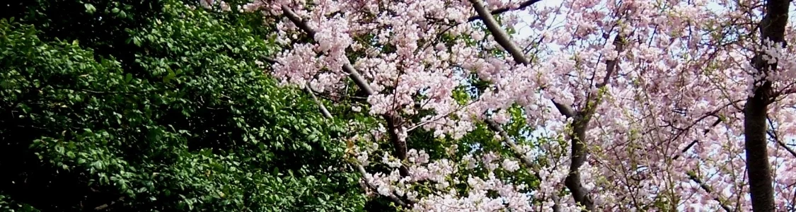 100_0938.jpg
