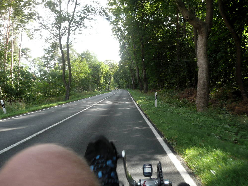 Auch in der Gegend von Burg und Genthin ist die B1 weitgehend als Allee angelegt.