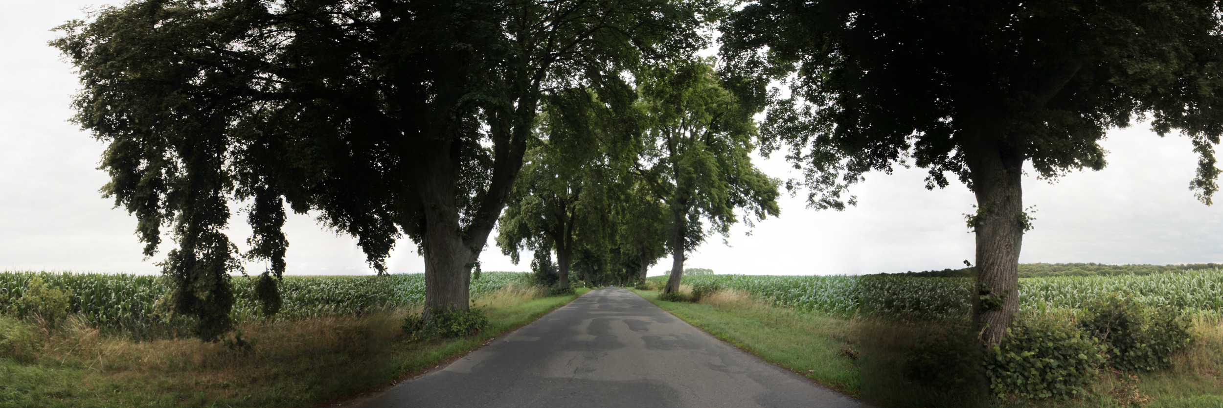 Eigentlich hübsche Landstraßen in Mecklenburg