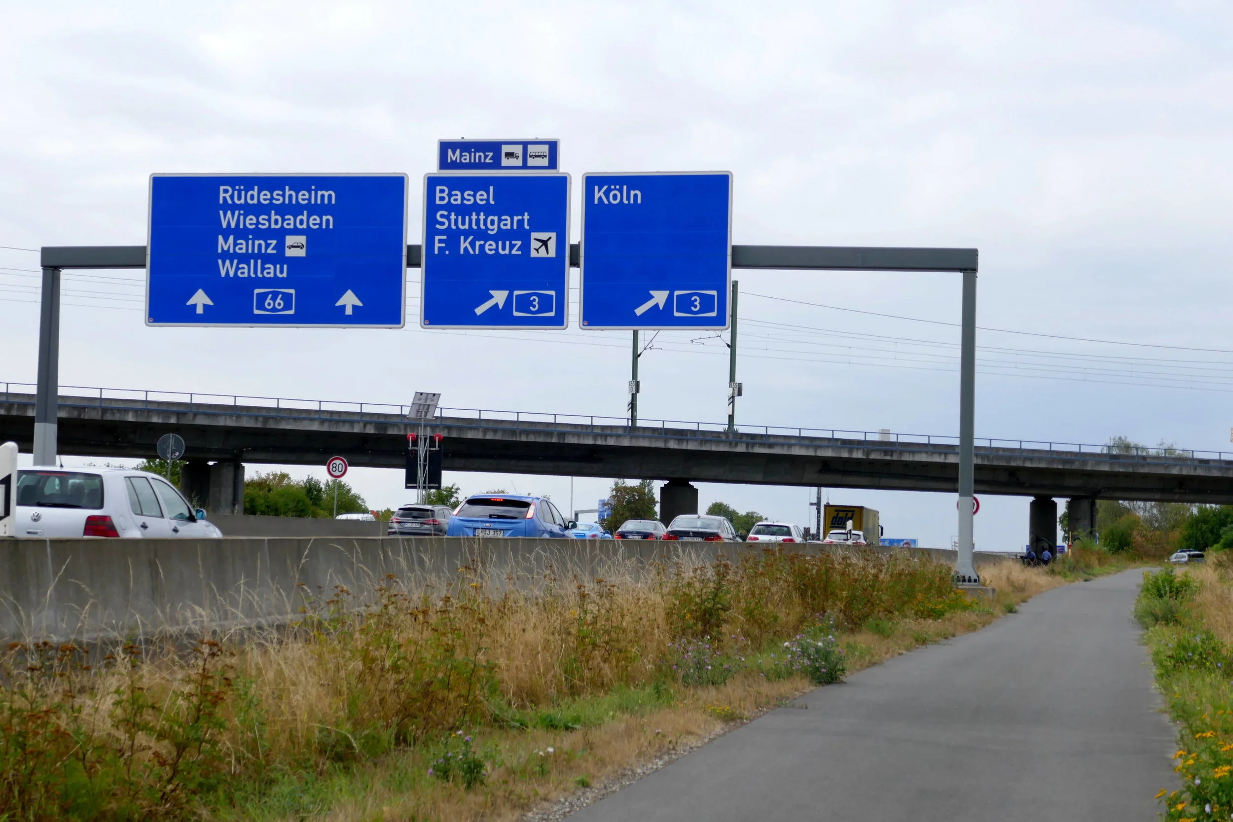 offensichtlich auf dem Weg nach Hause...