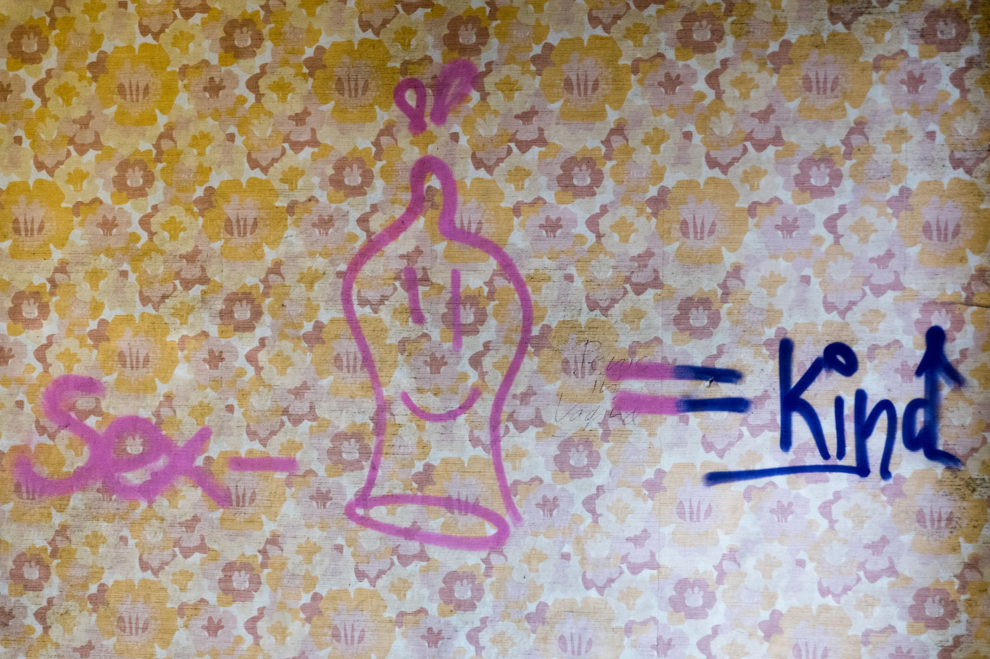 Erholungsheim_Altin_Lauscha_Graffitti.jpg