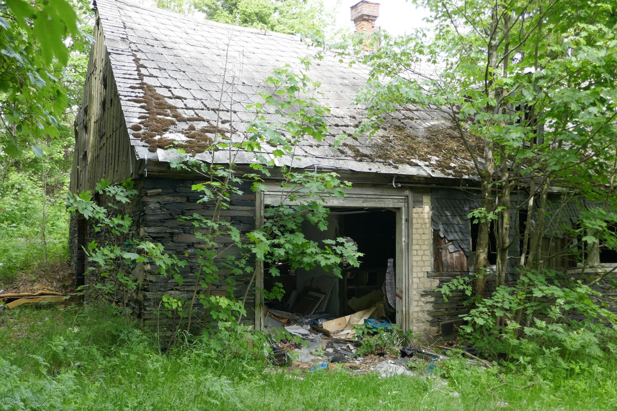 P1700167.jpg