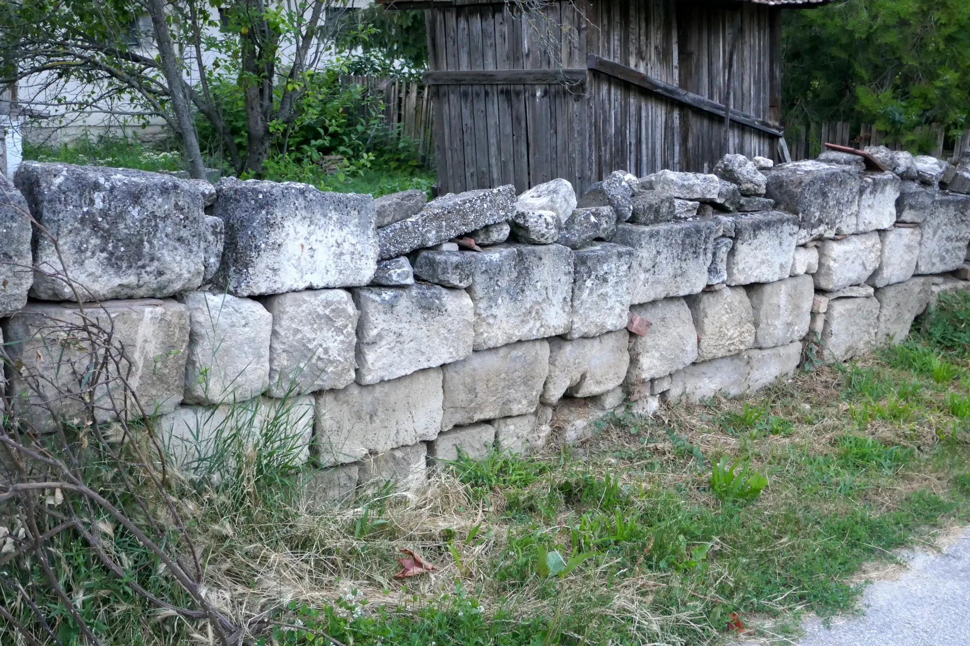 P1730733.jpg