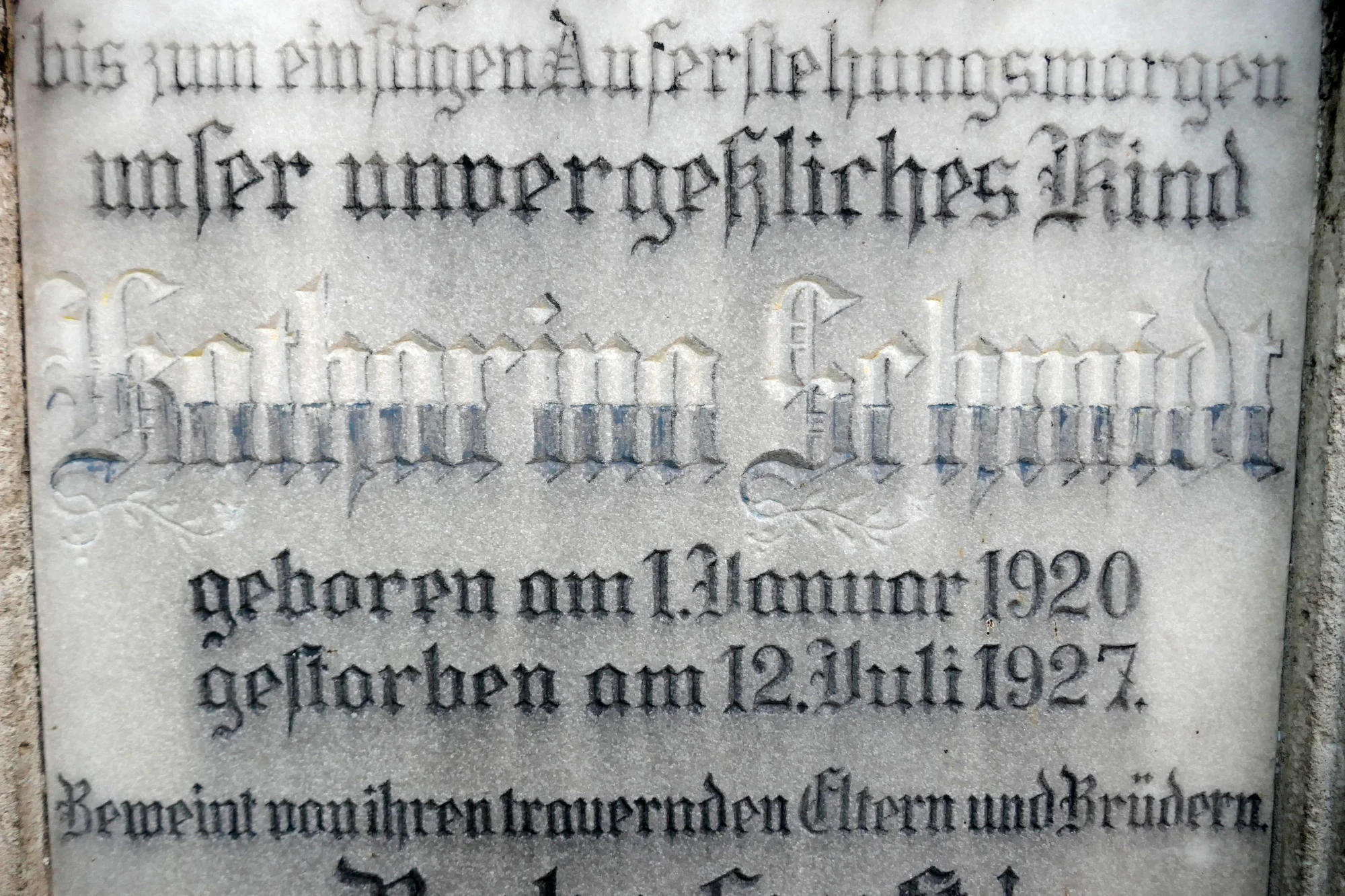 P1730744.jpg