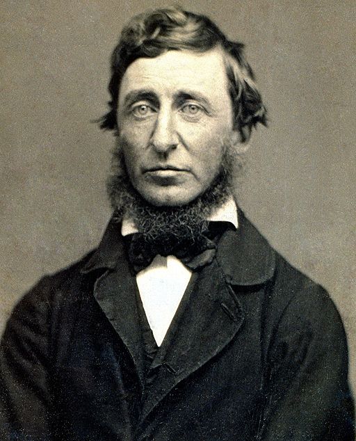 Henry David Thoreau, photographed by Benjamin D. Maxham, 1856.