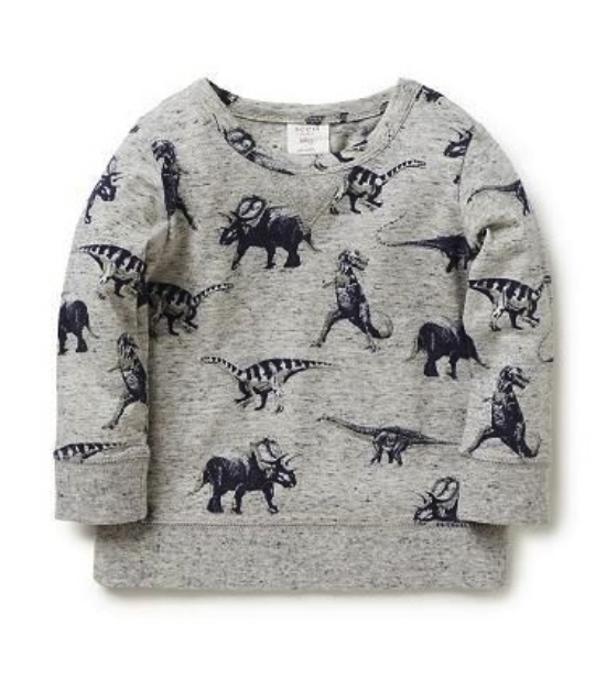 This Seed Heritage Dinosaur Yardage Tee is 100% cotton jersey with Allover Dinosaur Print and classic Sweatshirt "V" neckline insert… I know my son would Love this Allover Print Sweatshirt!