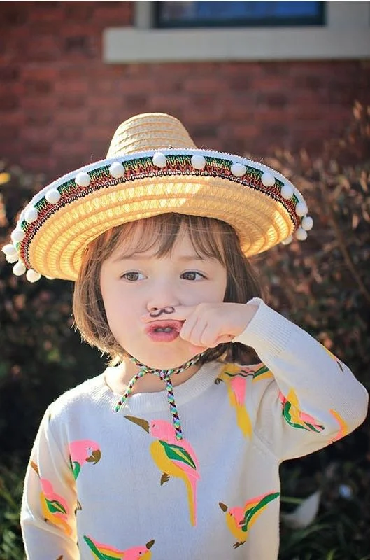 Happy Cinco de Mayo!
