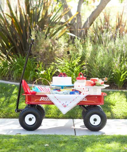 4th of July Picnic...