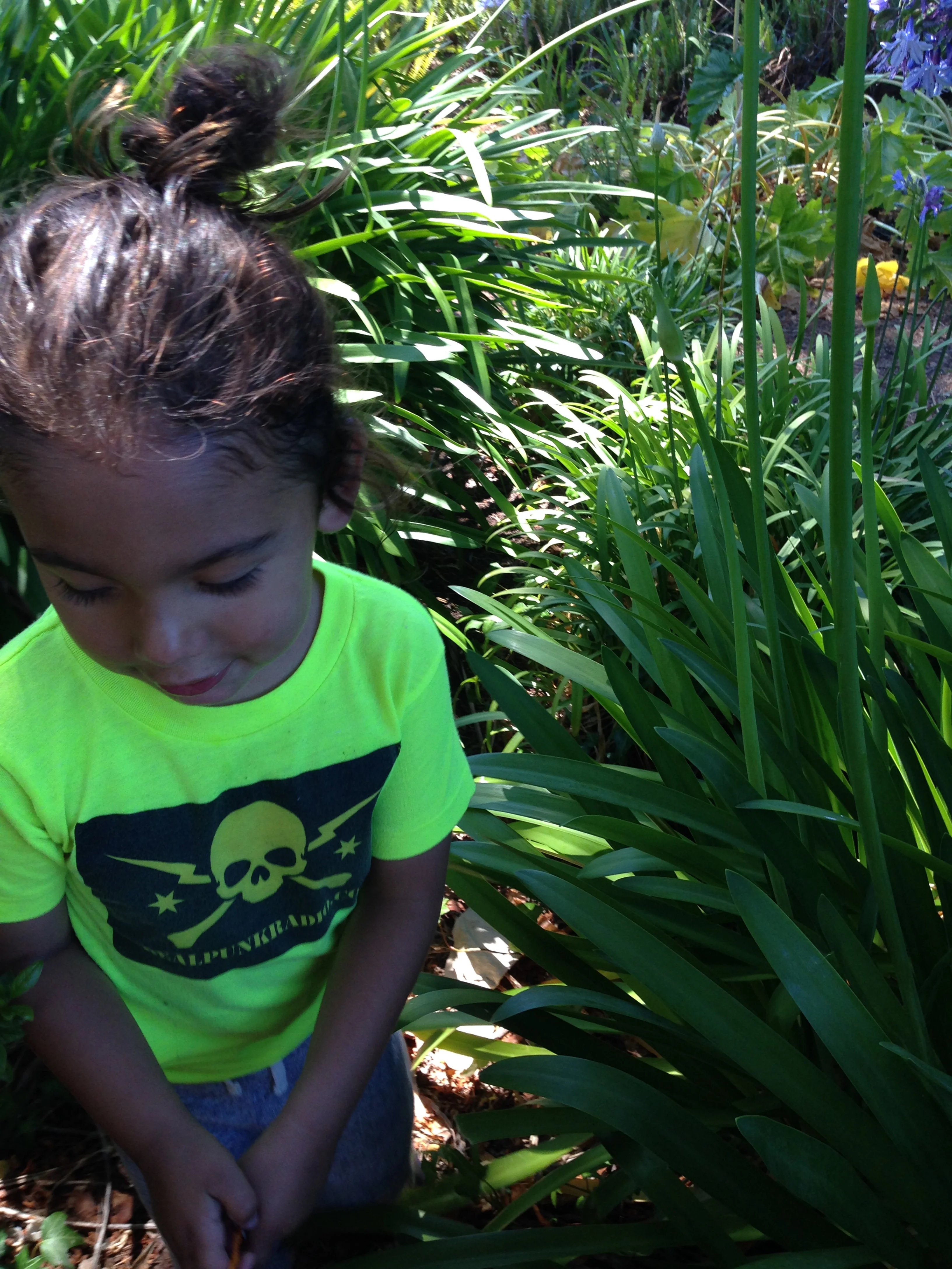 Mario's Ferry Ride to Sausalito: A Day of Family, Picnics, and Soccer