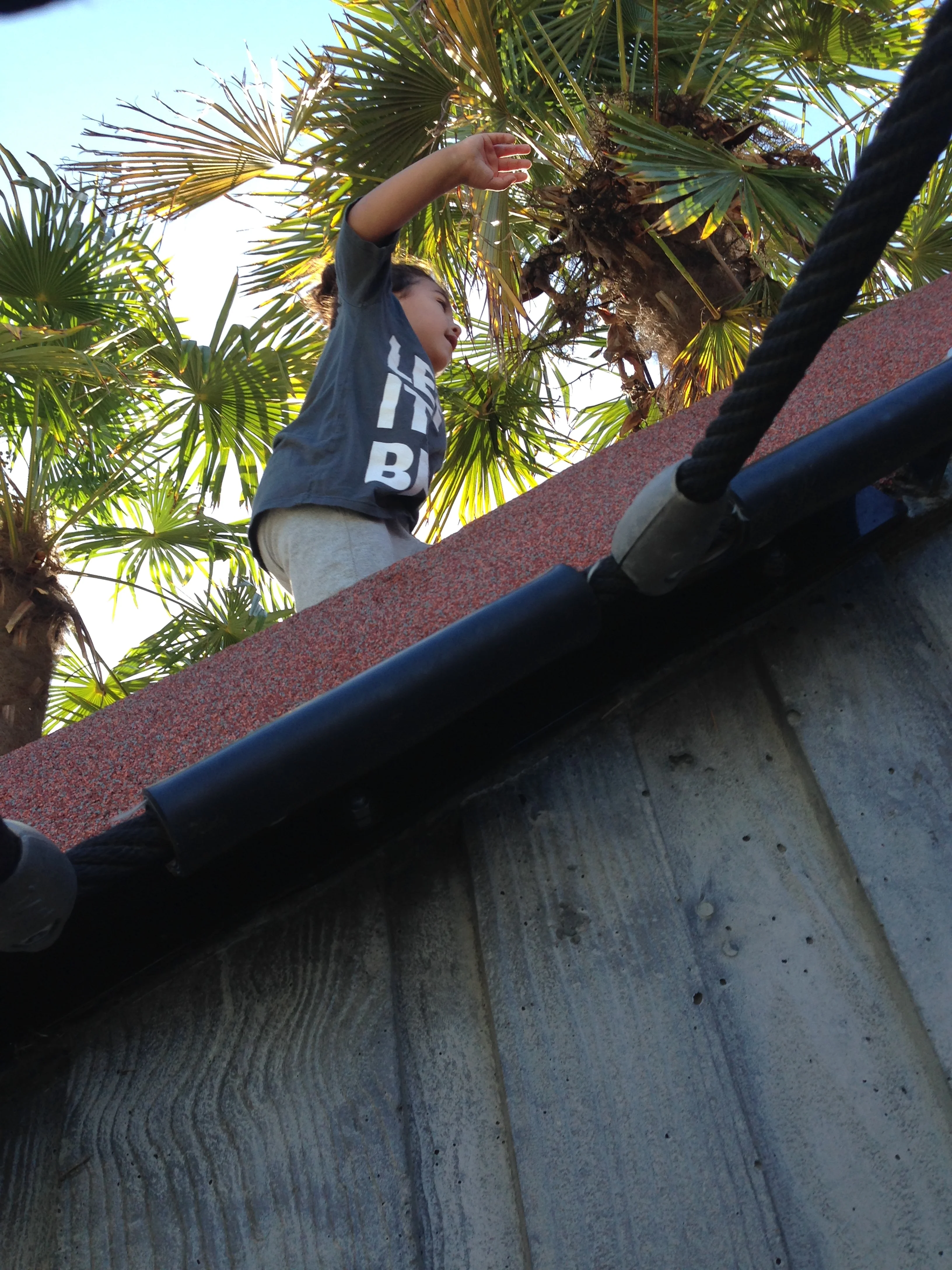 Mario's Weekend Neighborhood Adventures in San Francisco