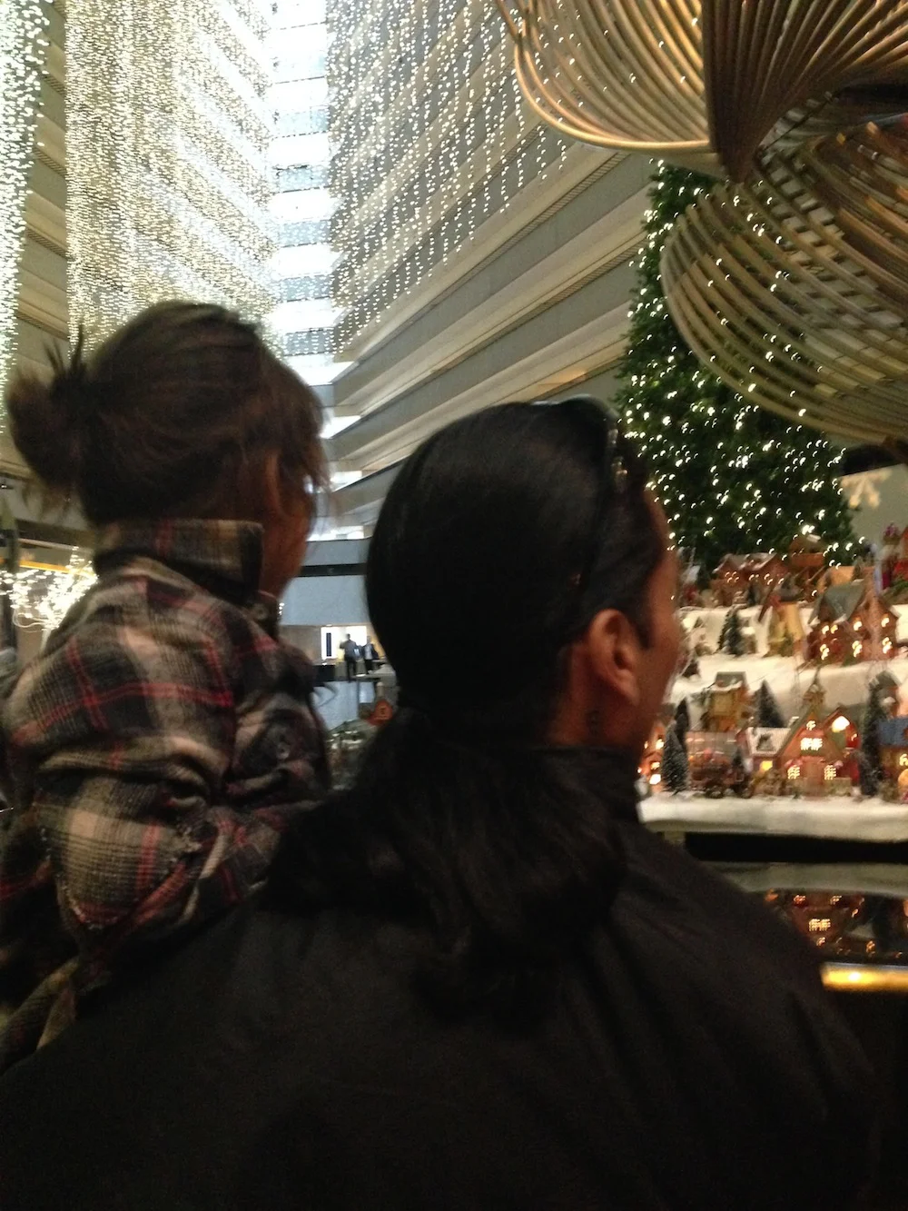 Mario at the Hyatt Regency Hotel Christmas Display