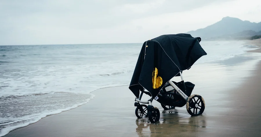 Little Dream Bird Car Seat and Stroller Covers