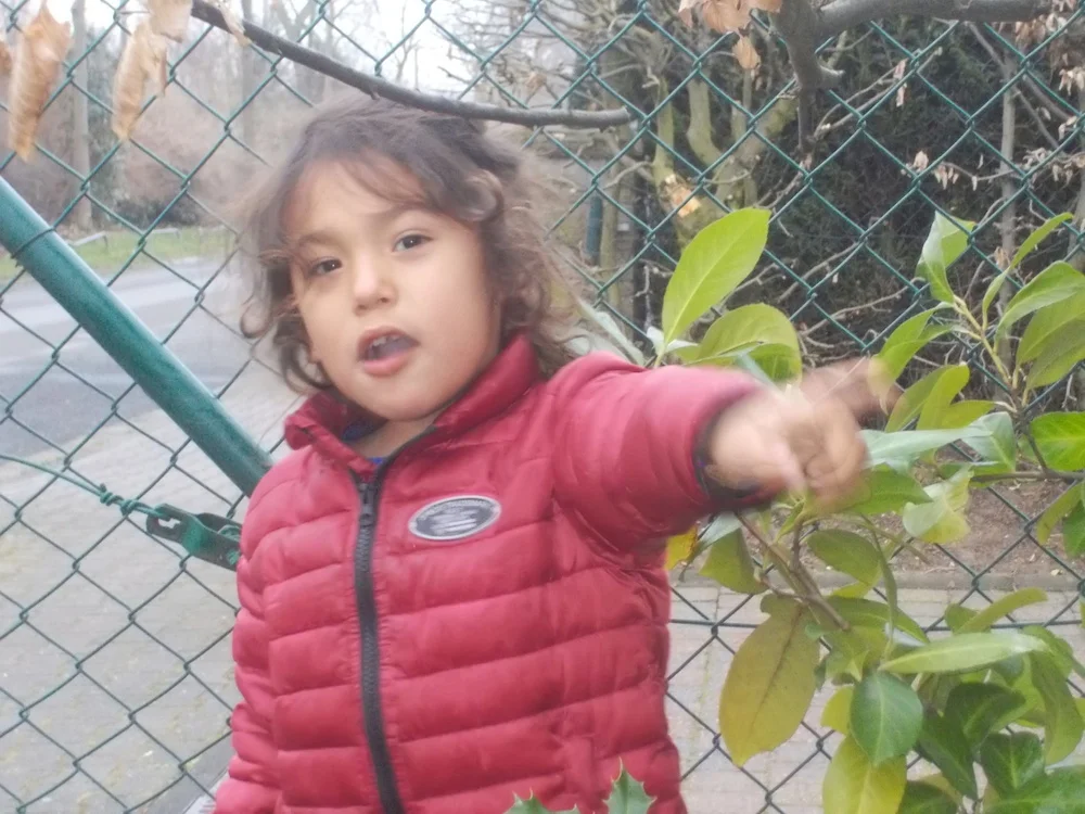 Mario Loves Our Front Yard