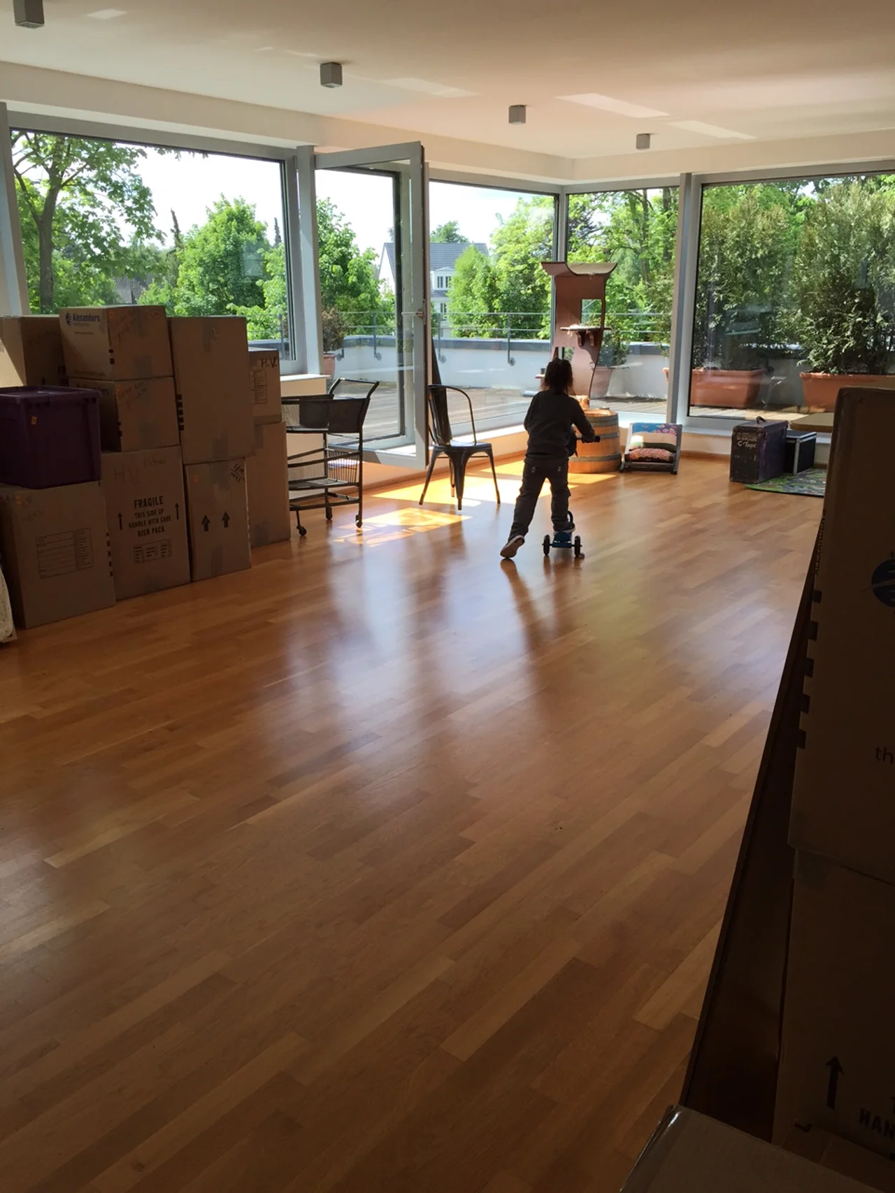 Mario Moves Into Our New Home in Düsseldorf