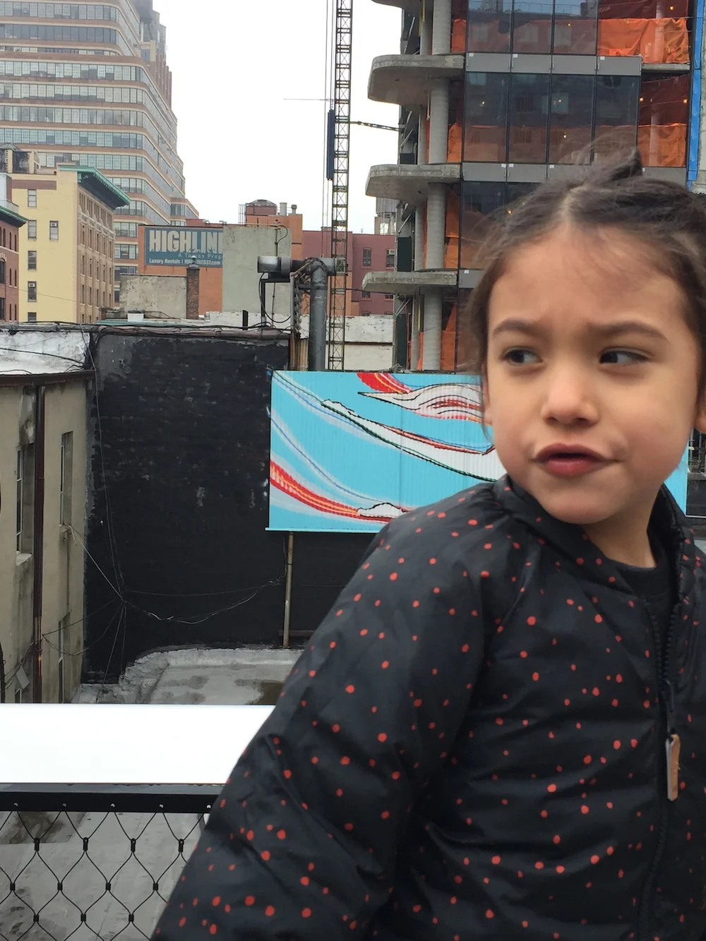 Mario Takes a Walk on the High Line in New York City