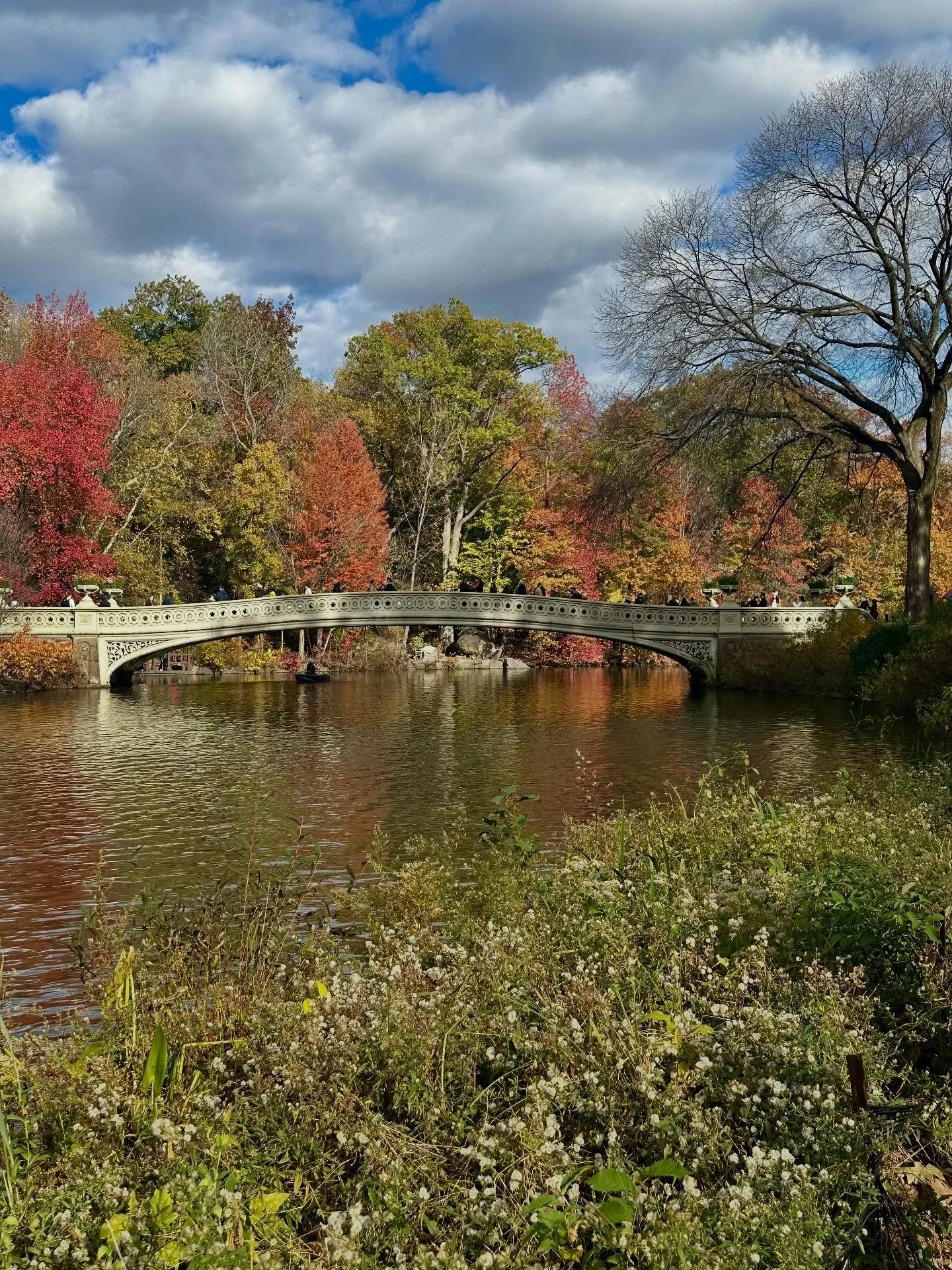 Gorgeous day for a team picnic in Central Park 🍎☀️🍂 Leaves changing, sun shining &mdash; NYC feels a little brighter today 💛🏙️