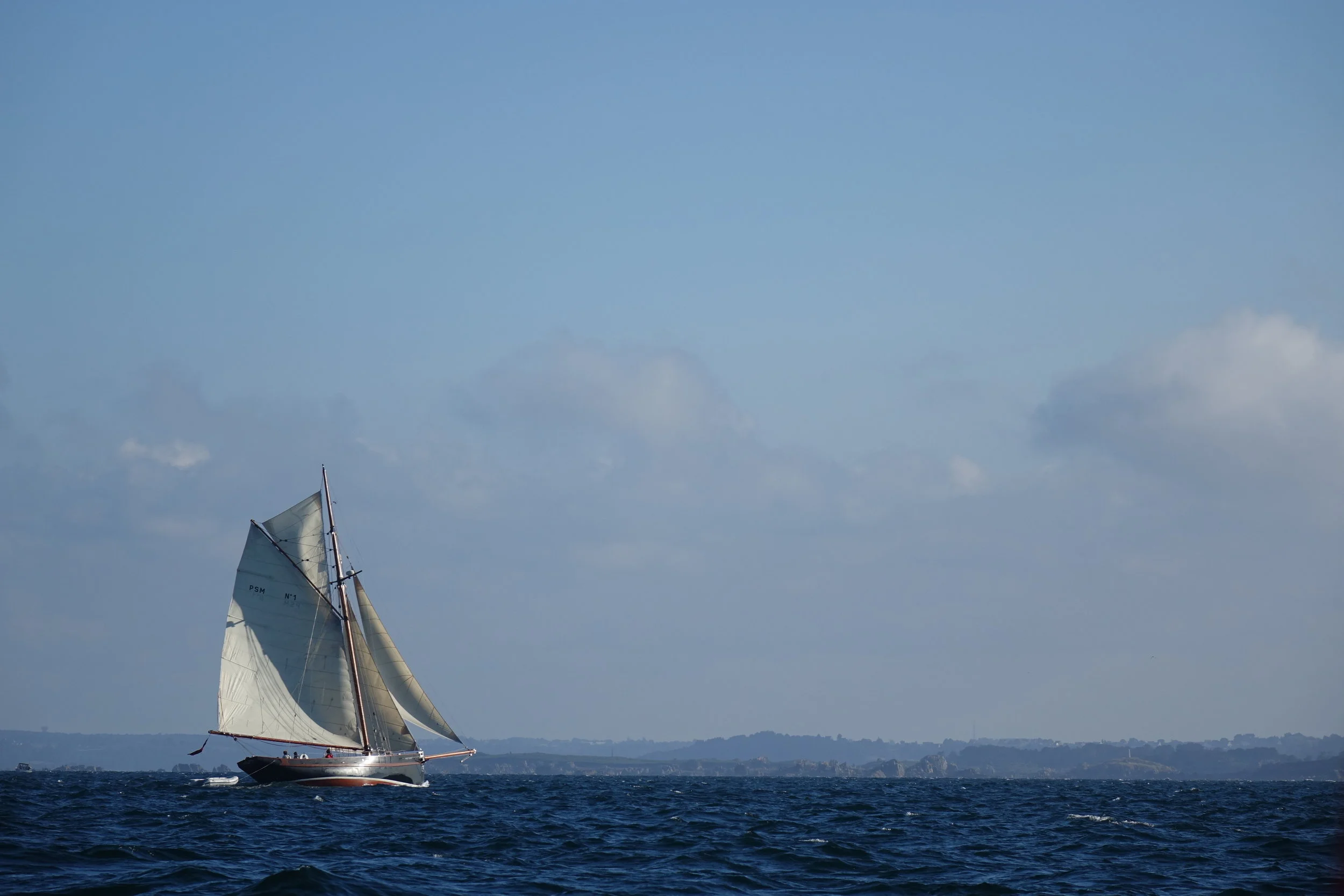 Cutter Cover left.jpeg