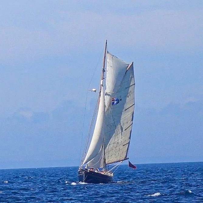 frontal+cutter+shot_HDR.jpg