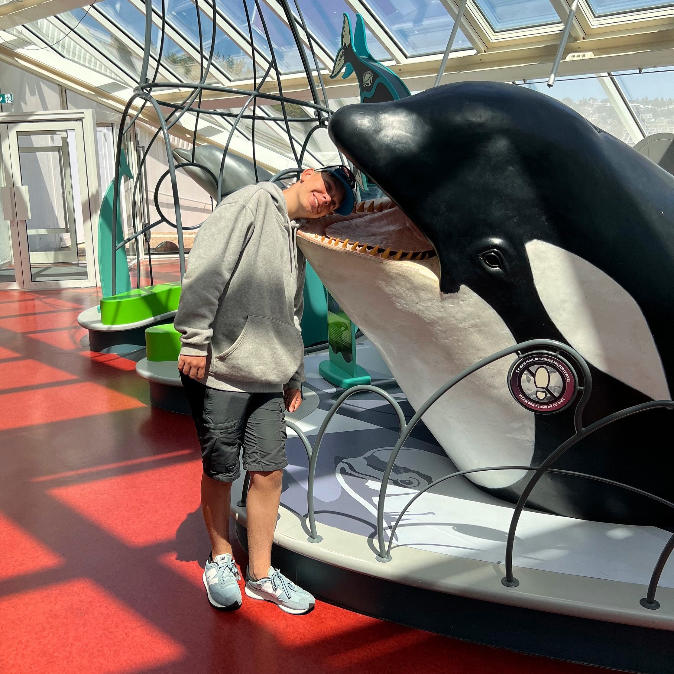 whale.jpg