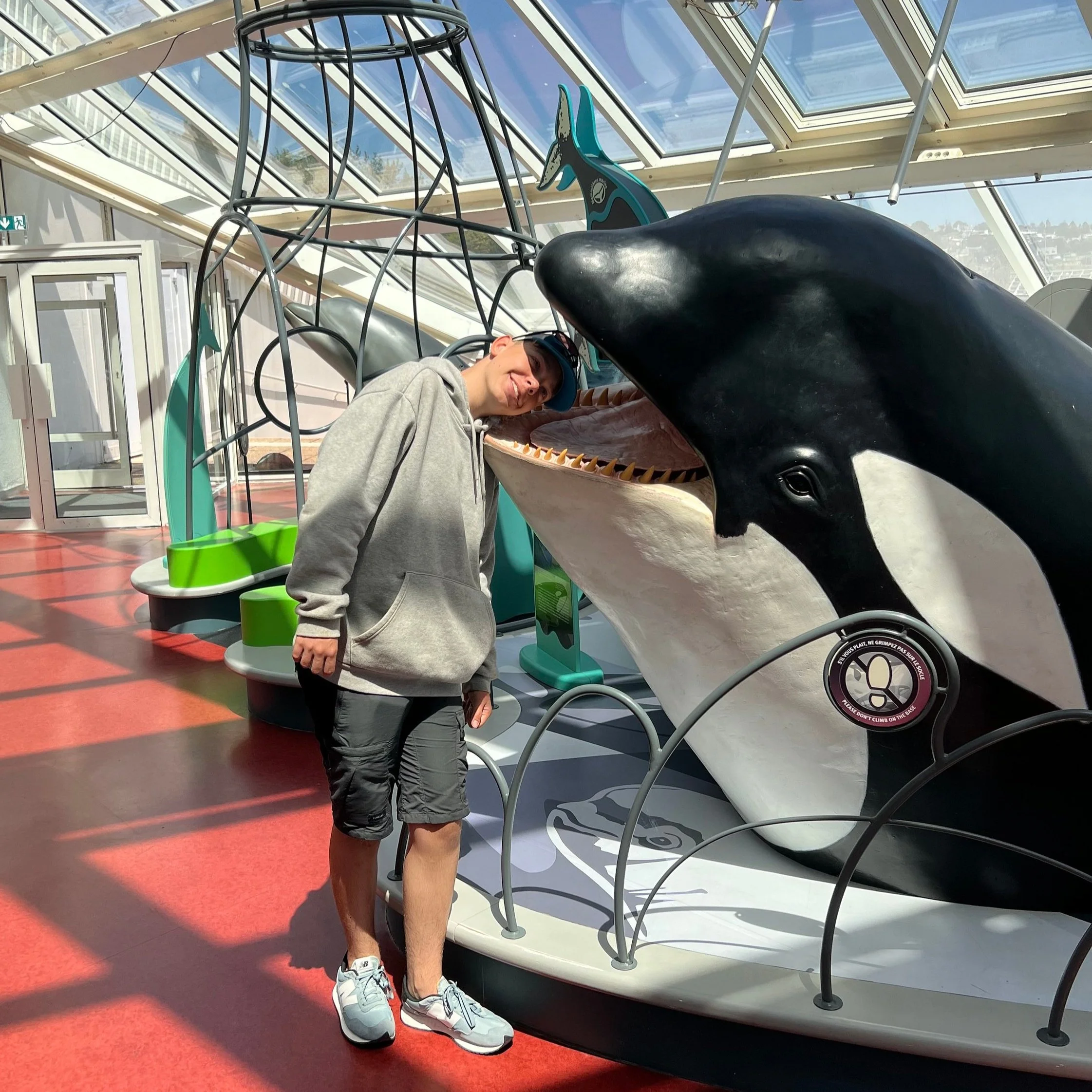 whale.jpg