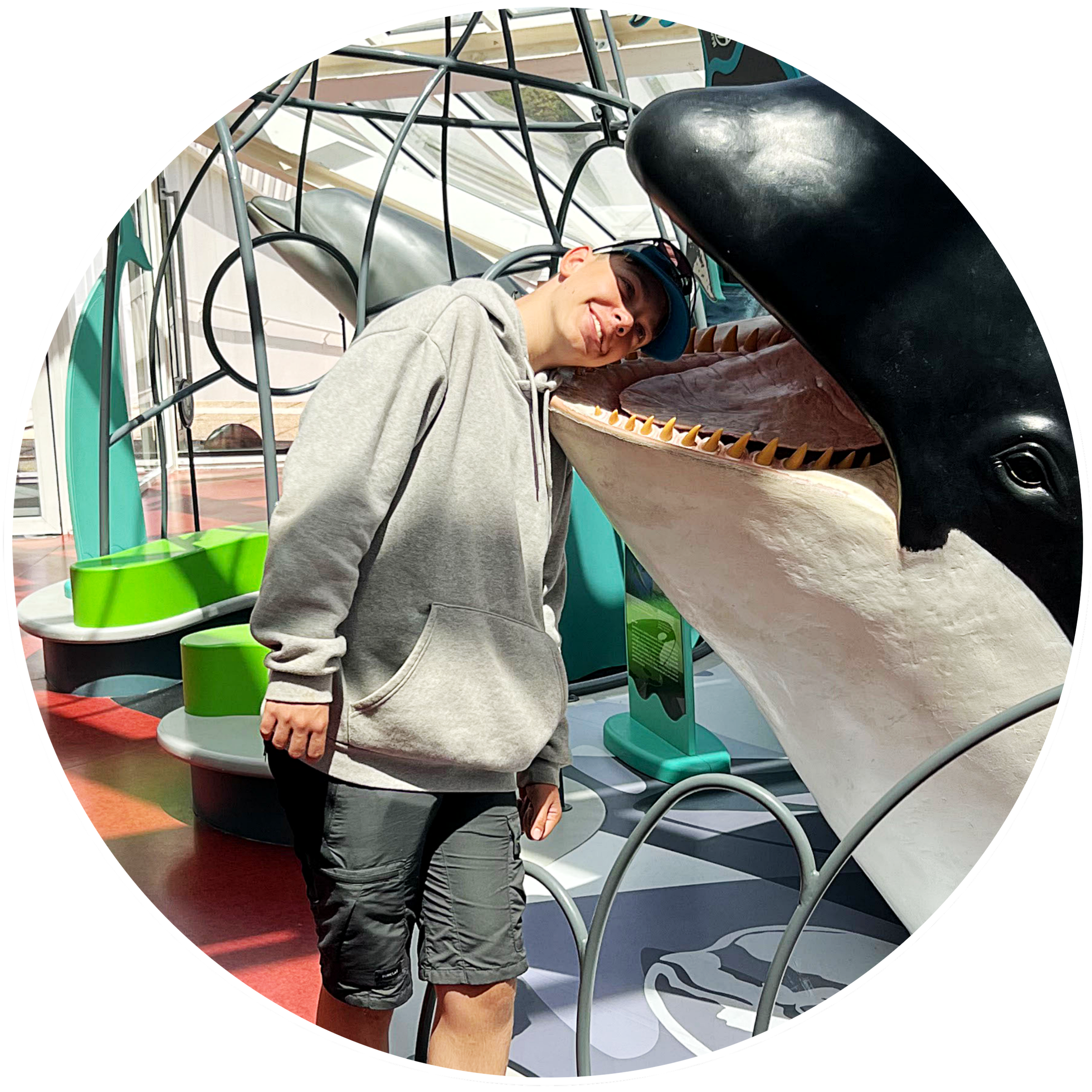 whale-circle-1.png