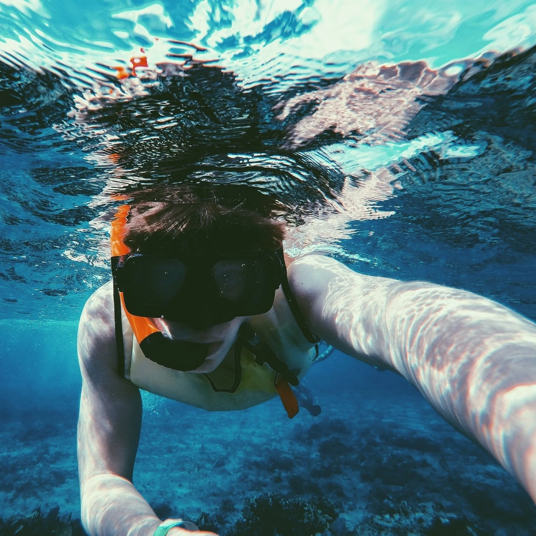 fabio-snorkling-unsplash.jpg