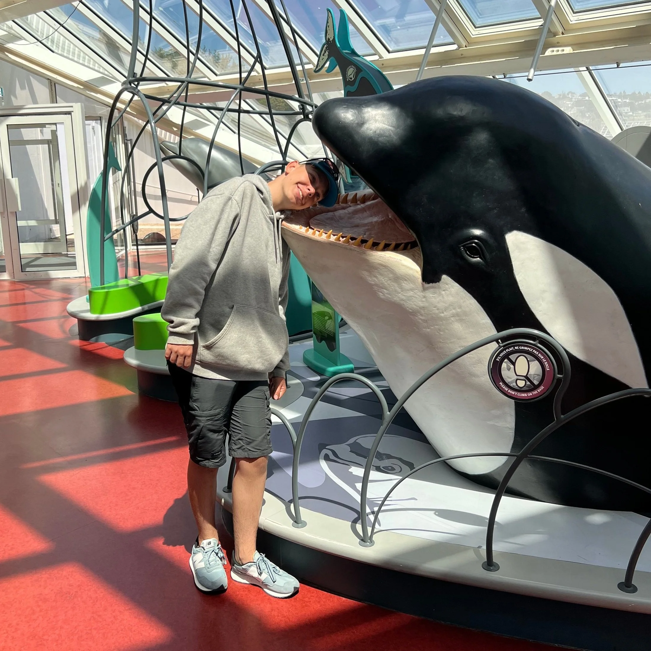 whale.jpg