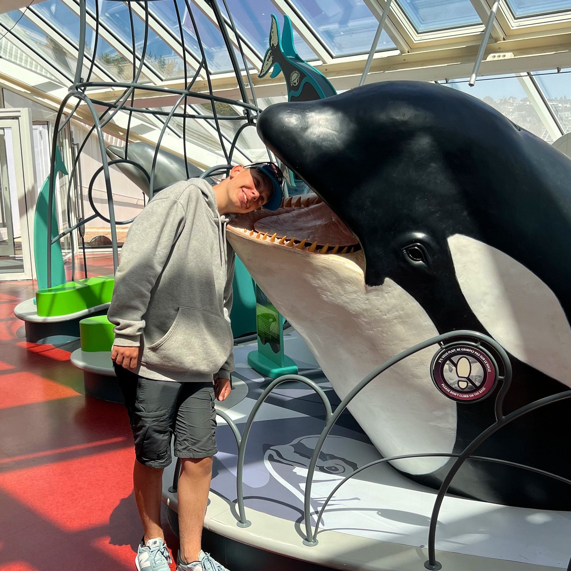 whale.jpg