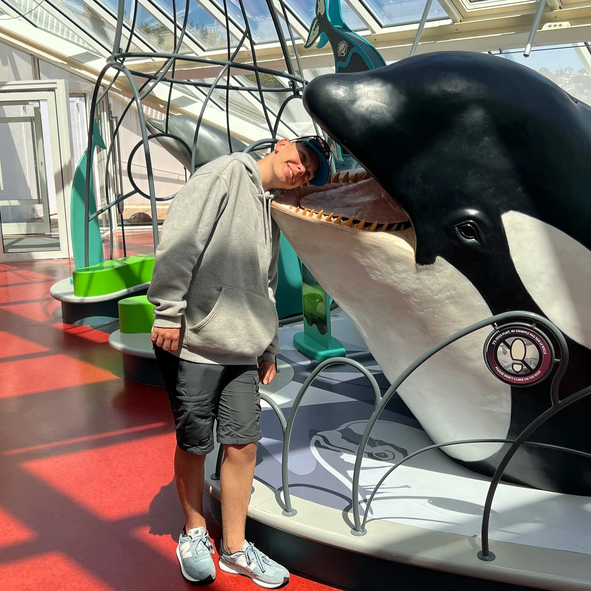 whale.jpg
