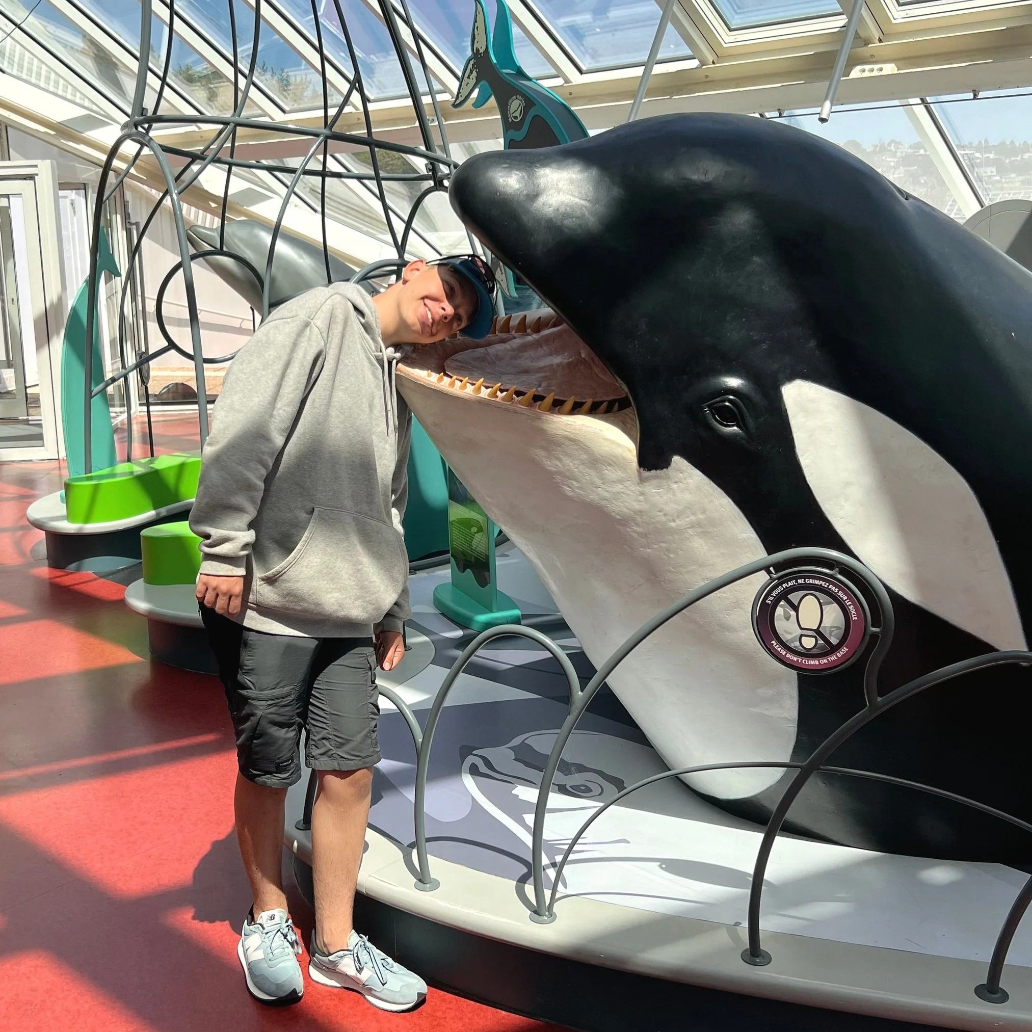 whale.jpg