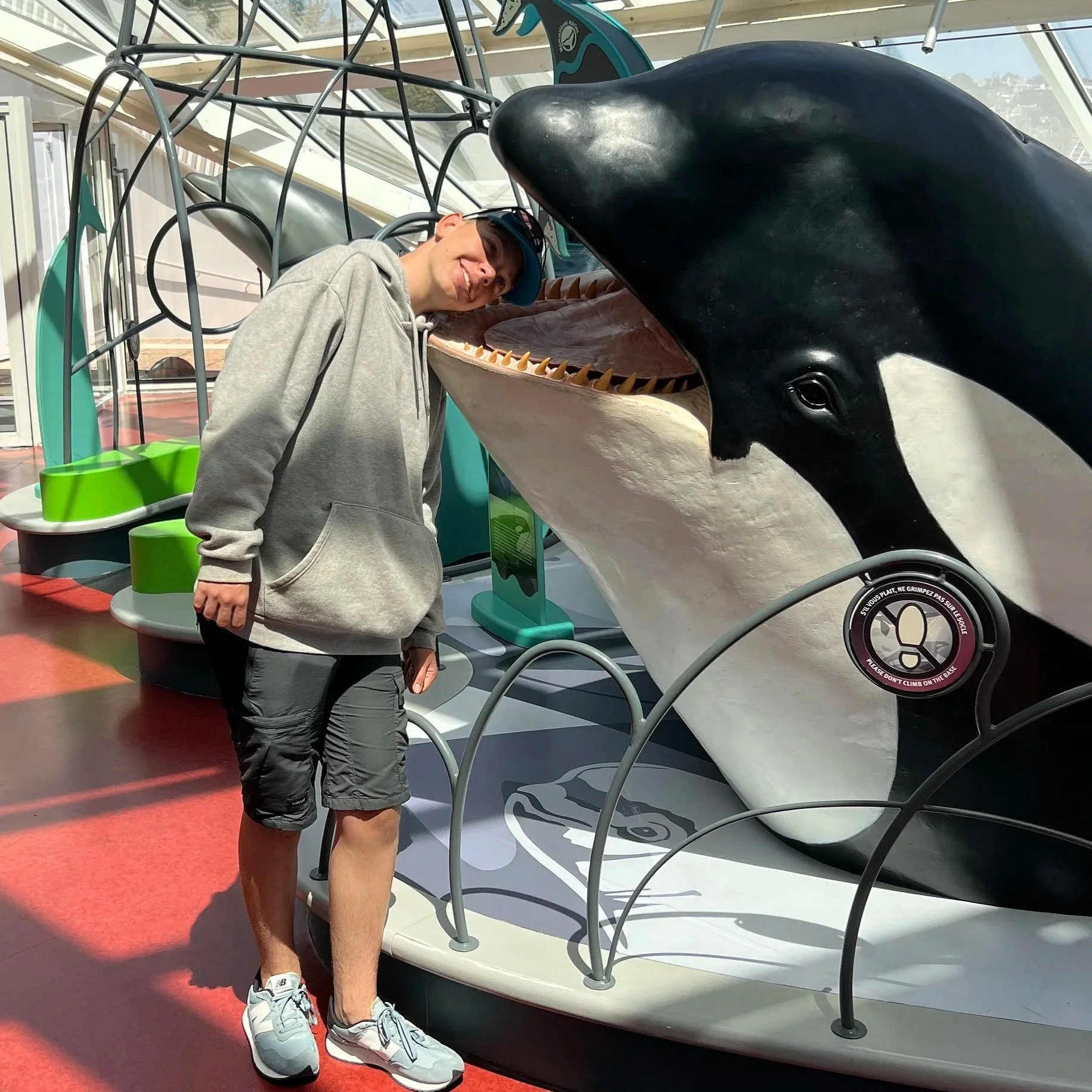 whale.jpg