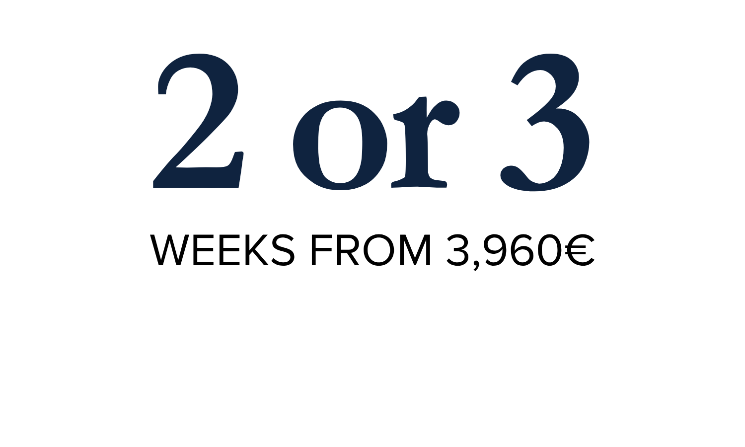 20+ (5).png