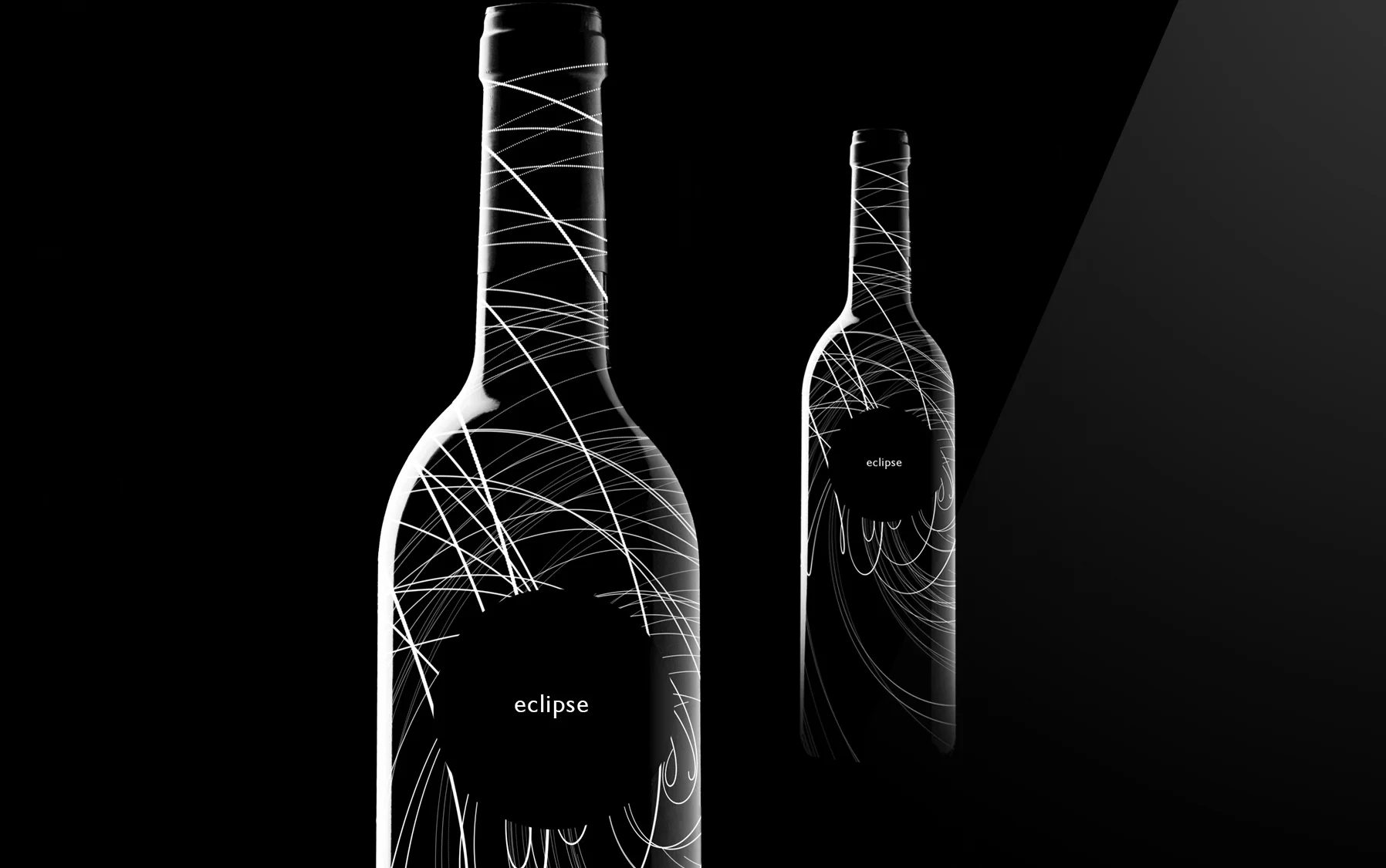 3VINO2.jpg