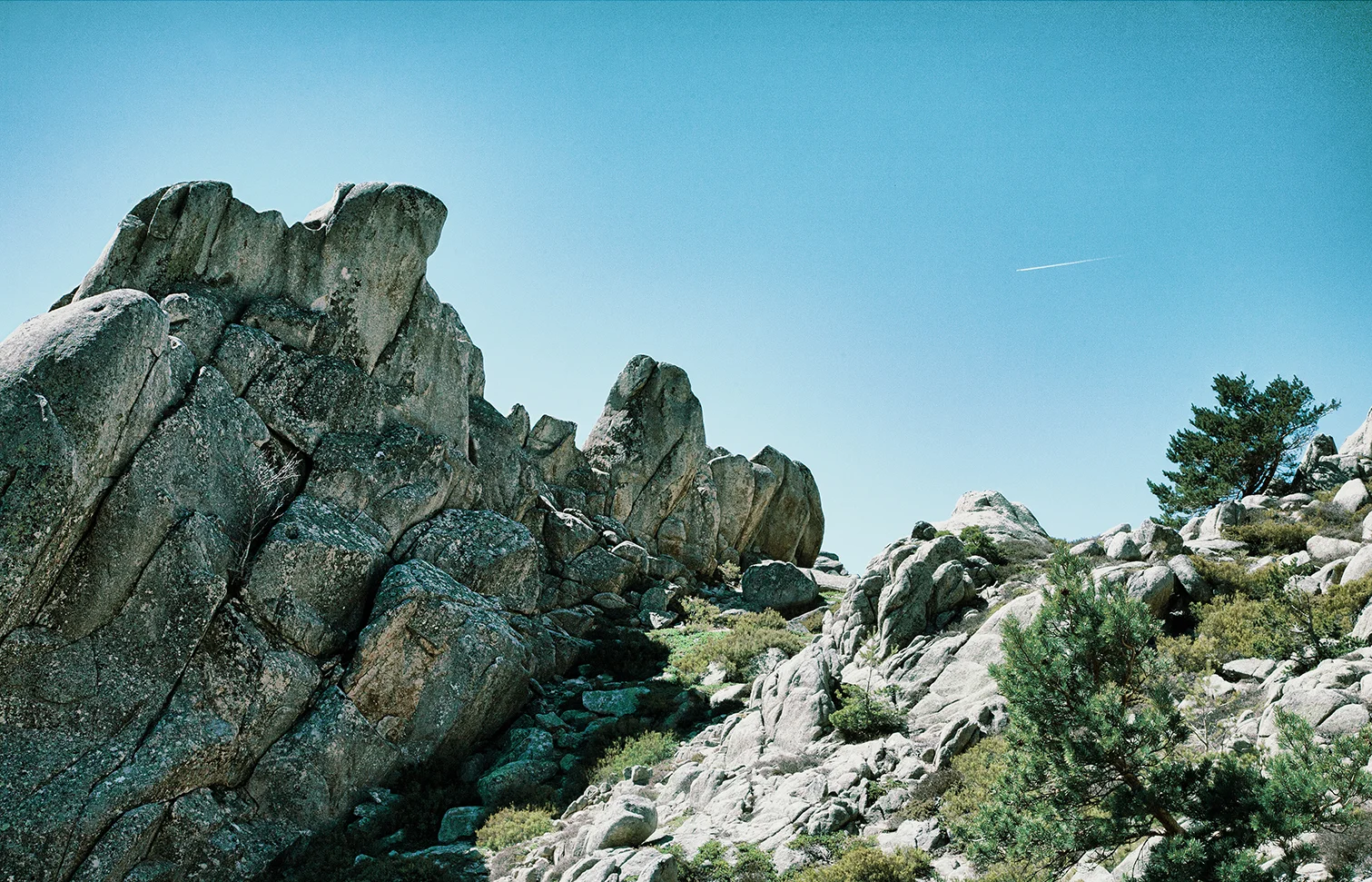 PEDRAZA 10 retoc.jpg