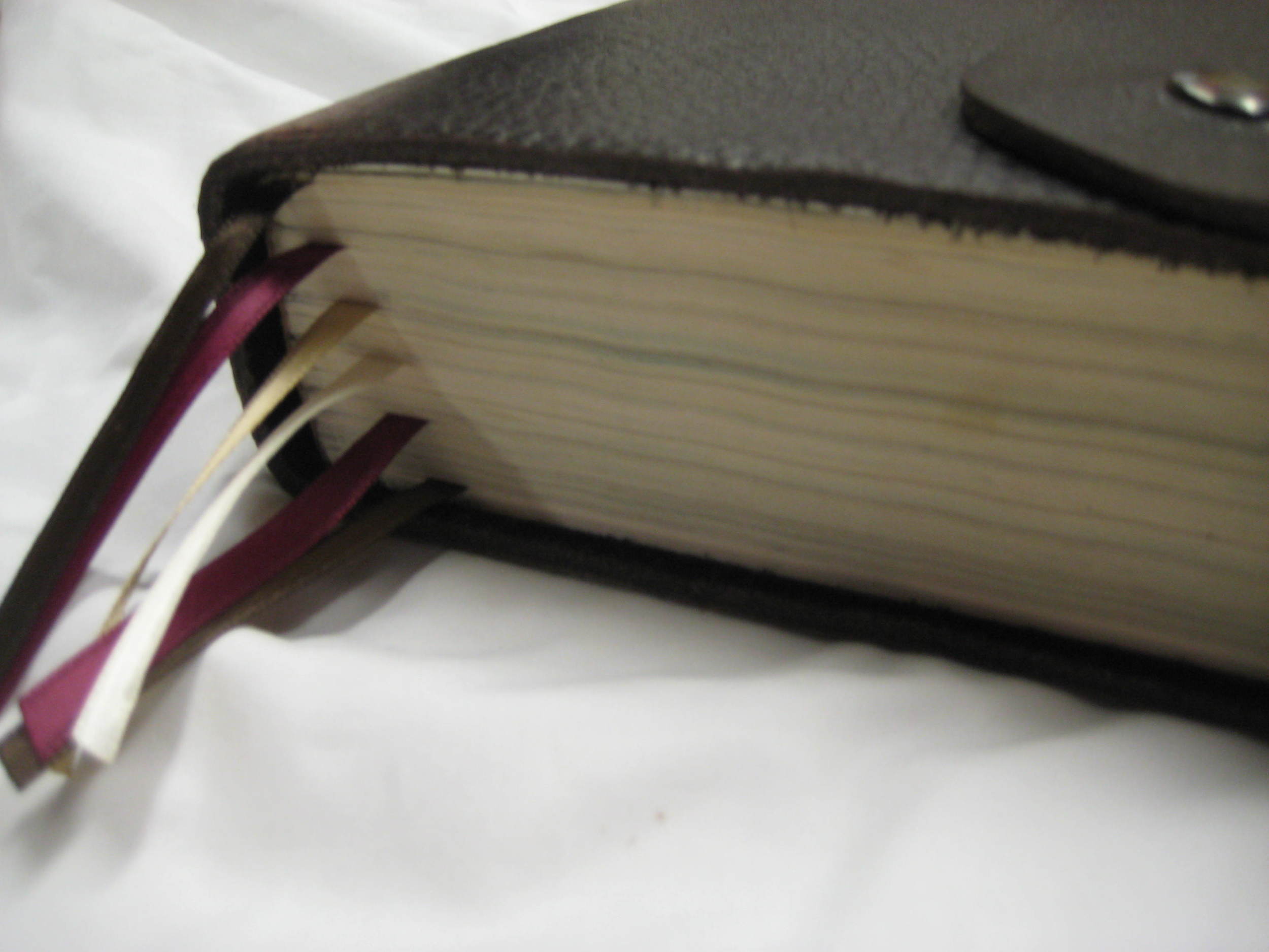 Page Marker Ribbons : You can choose as many as you would like and in a wide variety of colors.