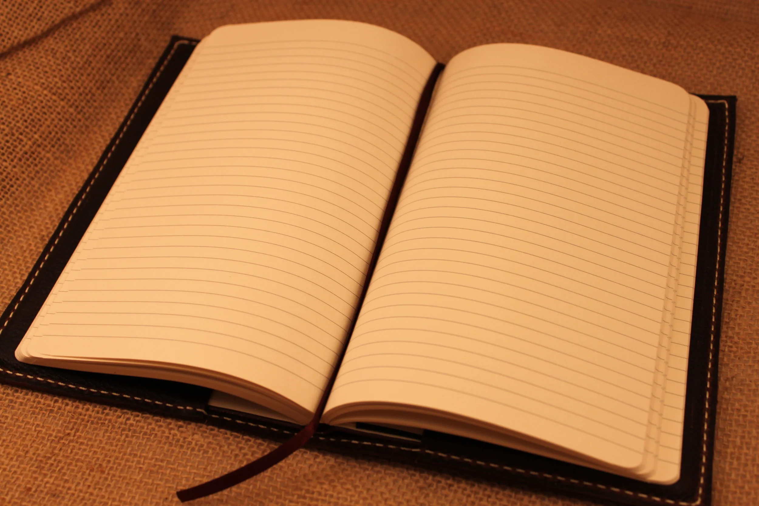 The Journal you see in the picture is the one that will come with your journal case. It is lined, and has 1 ribbon. 