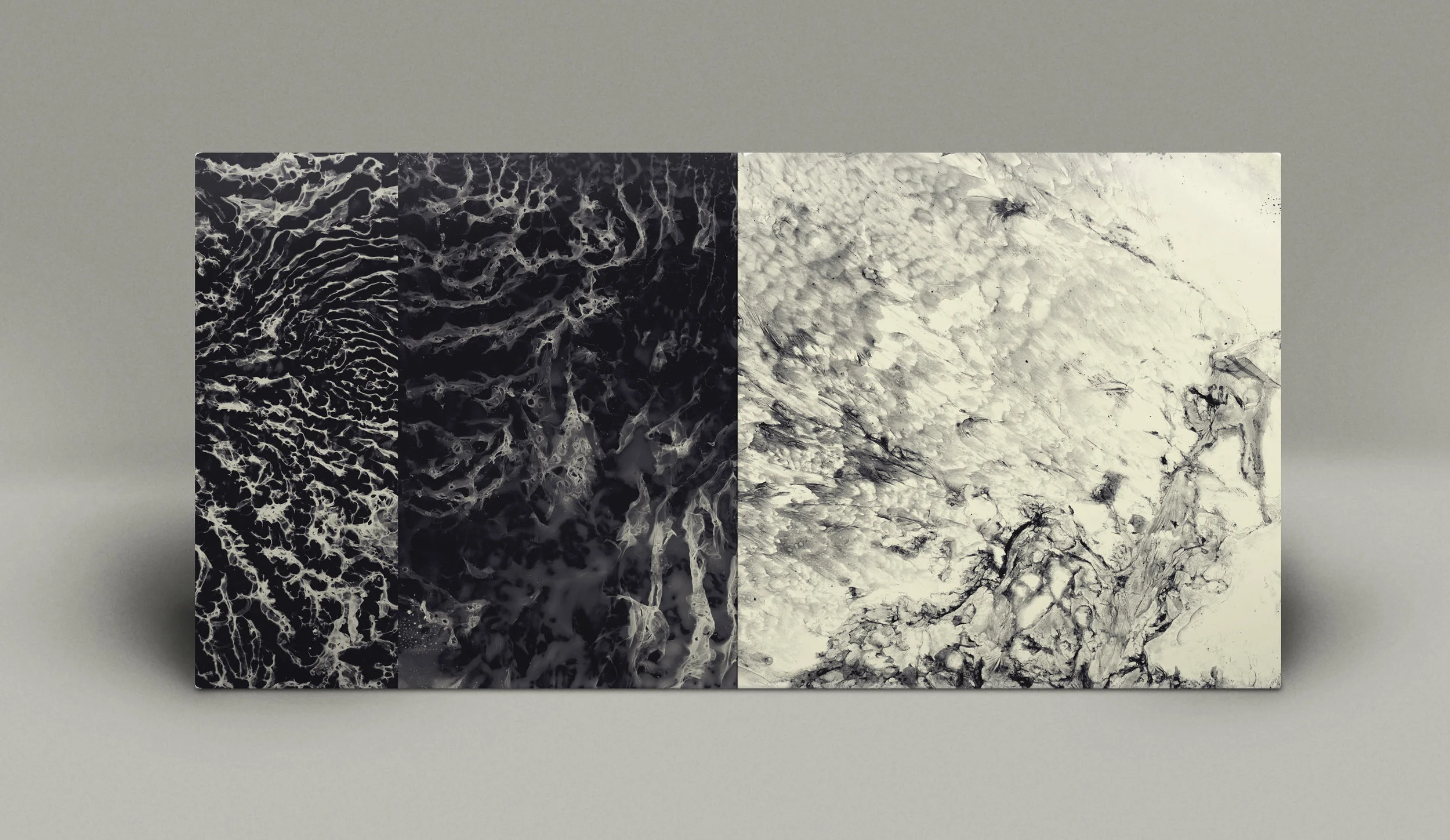 Inner Gatefold.jpg