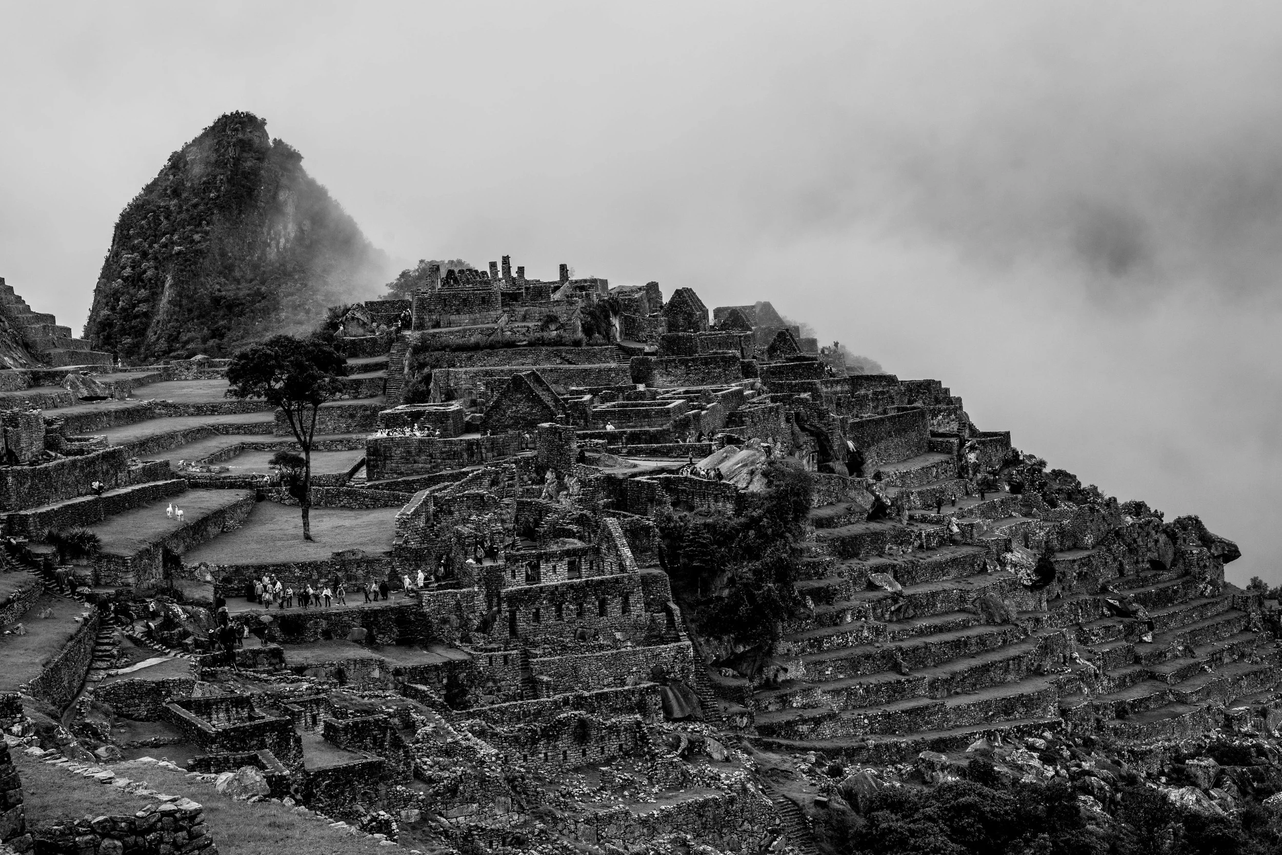 Machupichu.JPG