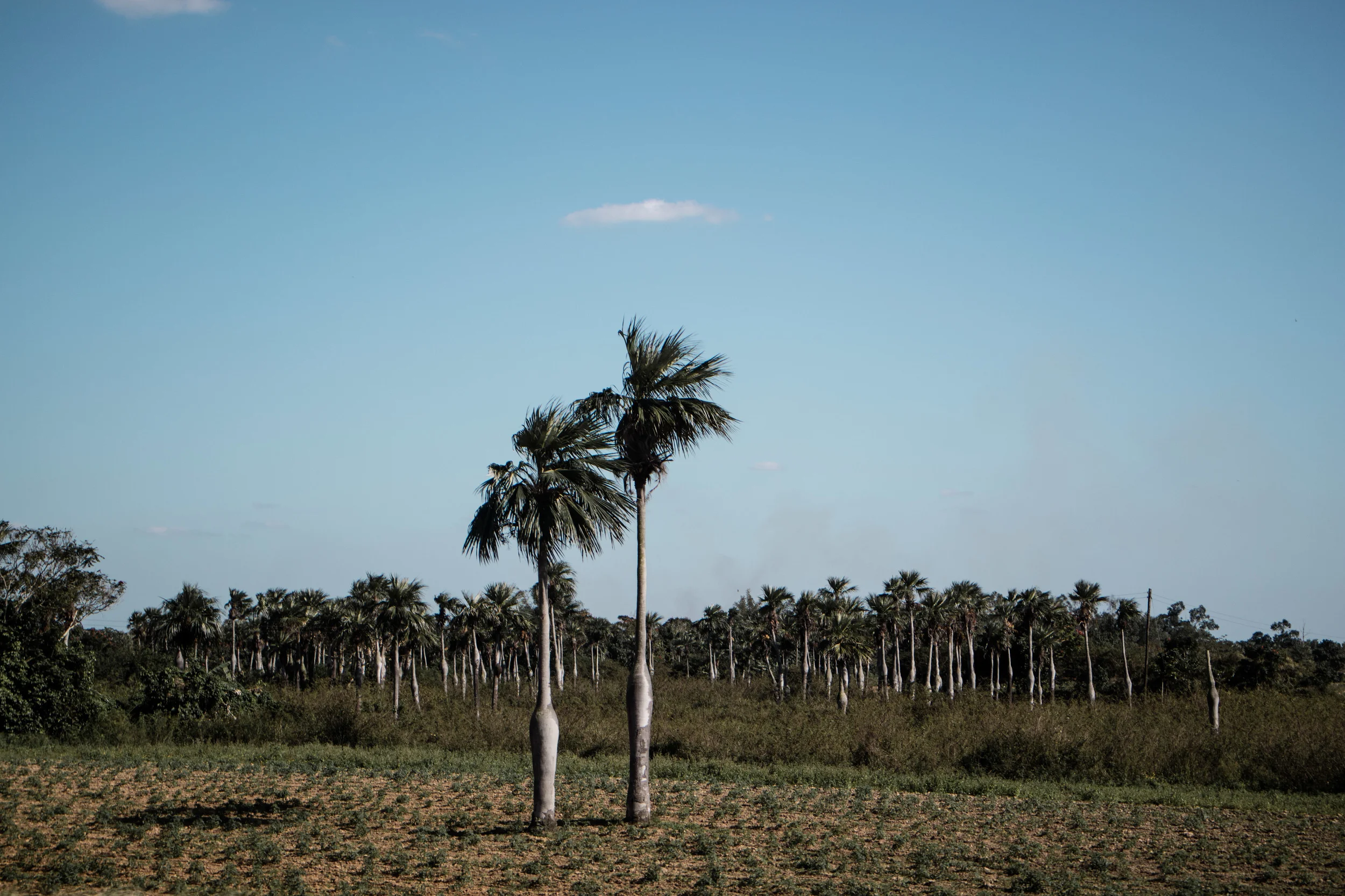 Cuba-280.JPG