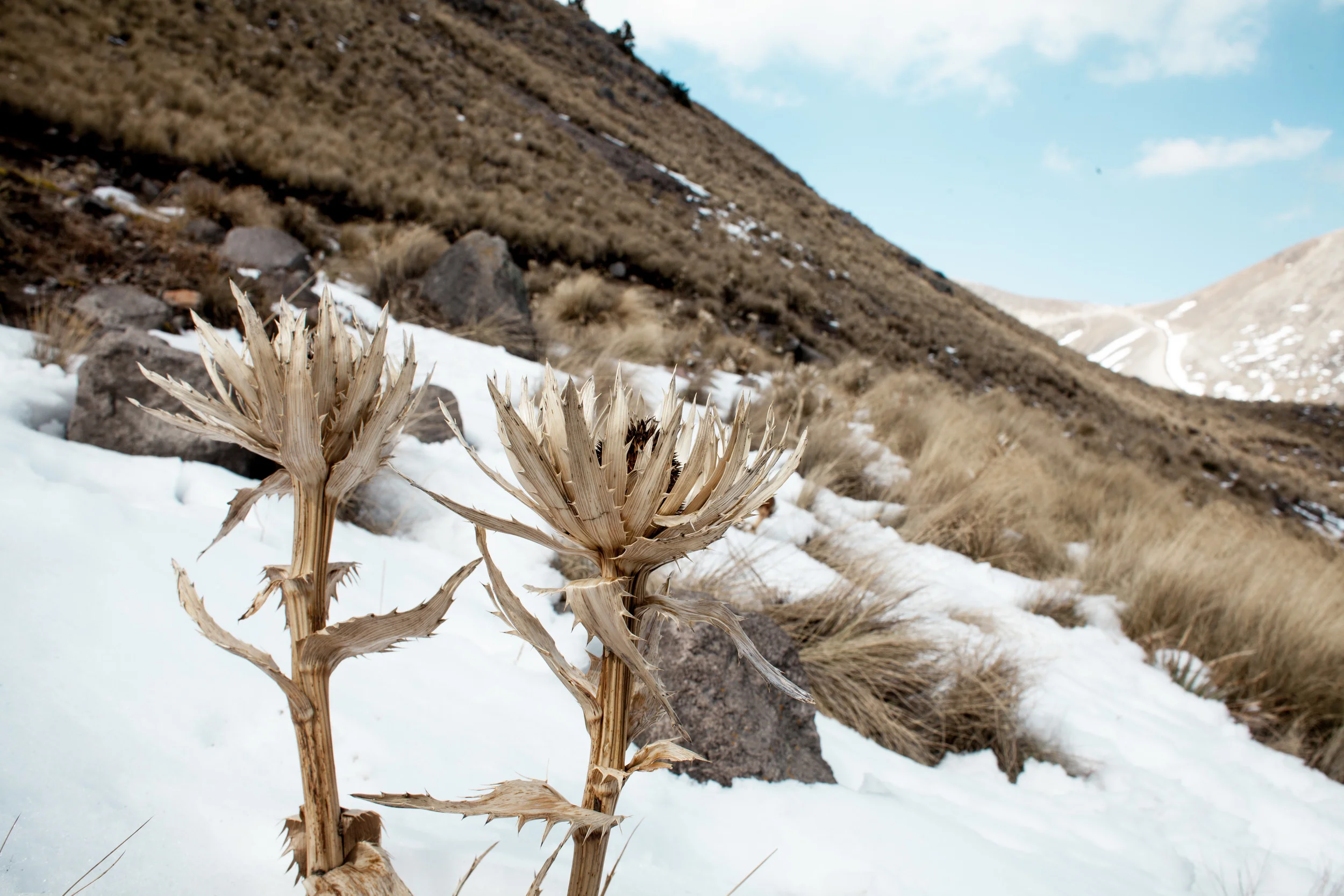 Nevado-22.JPG