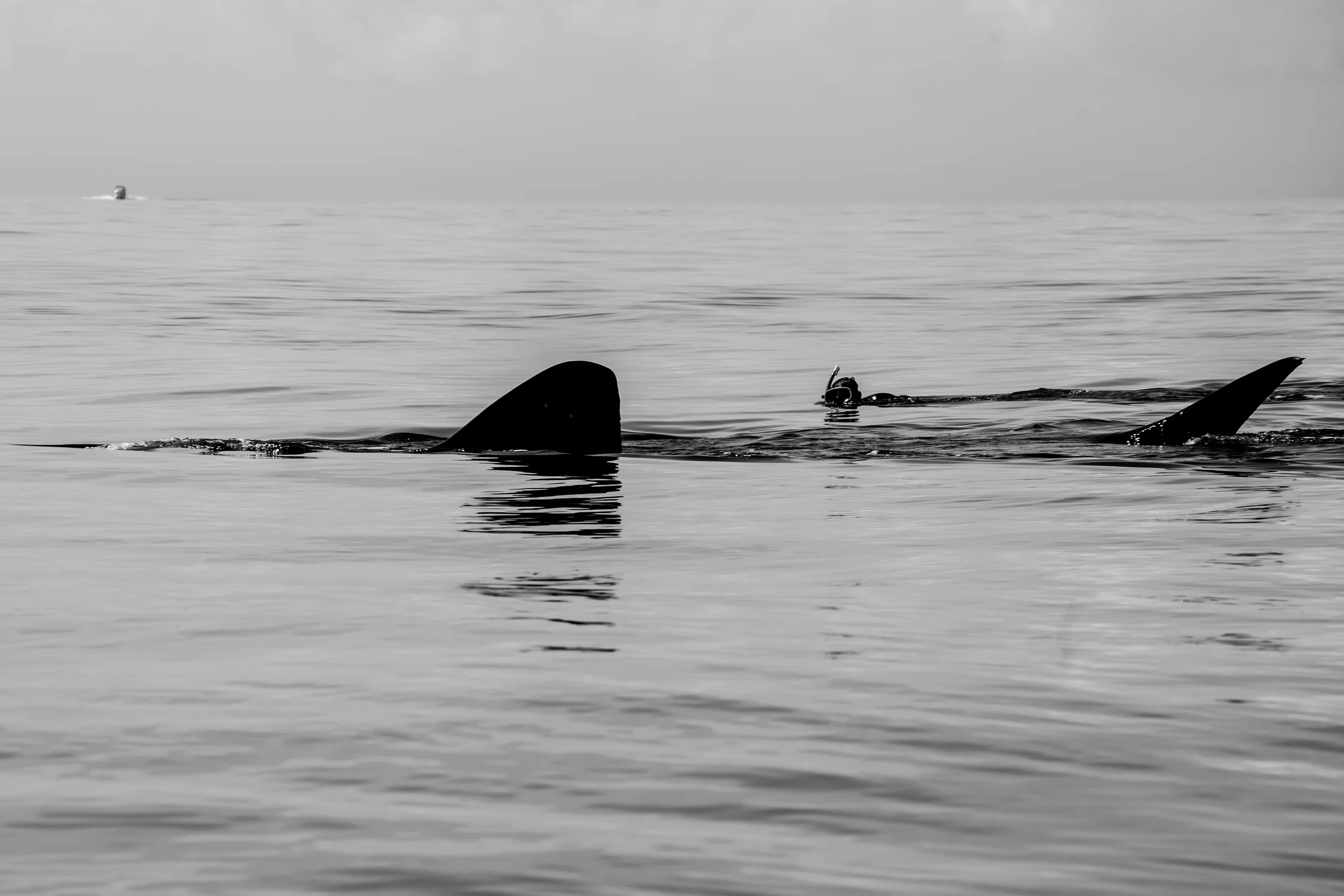 Holbox-11.JPG