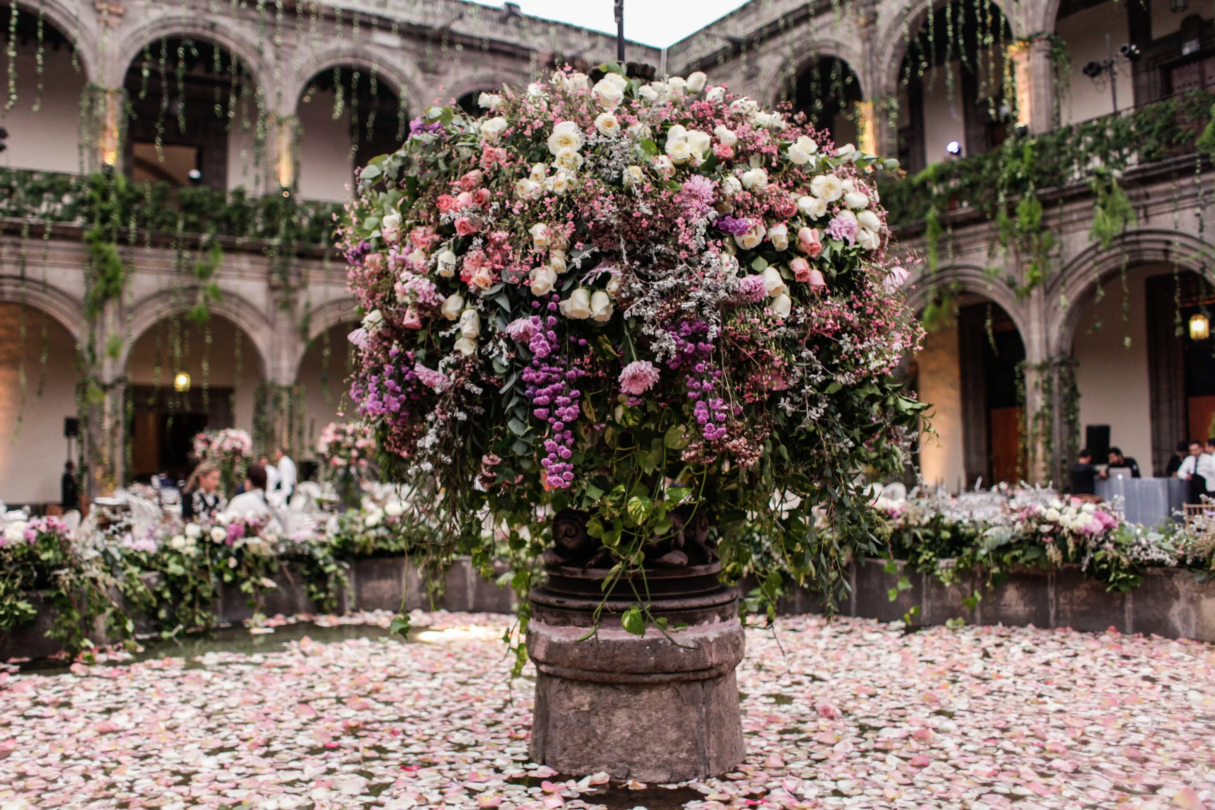 Flores_Vizcainas-14.JPG