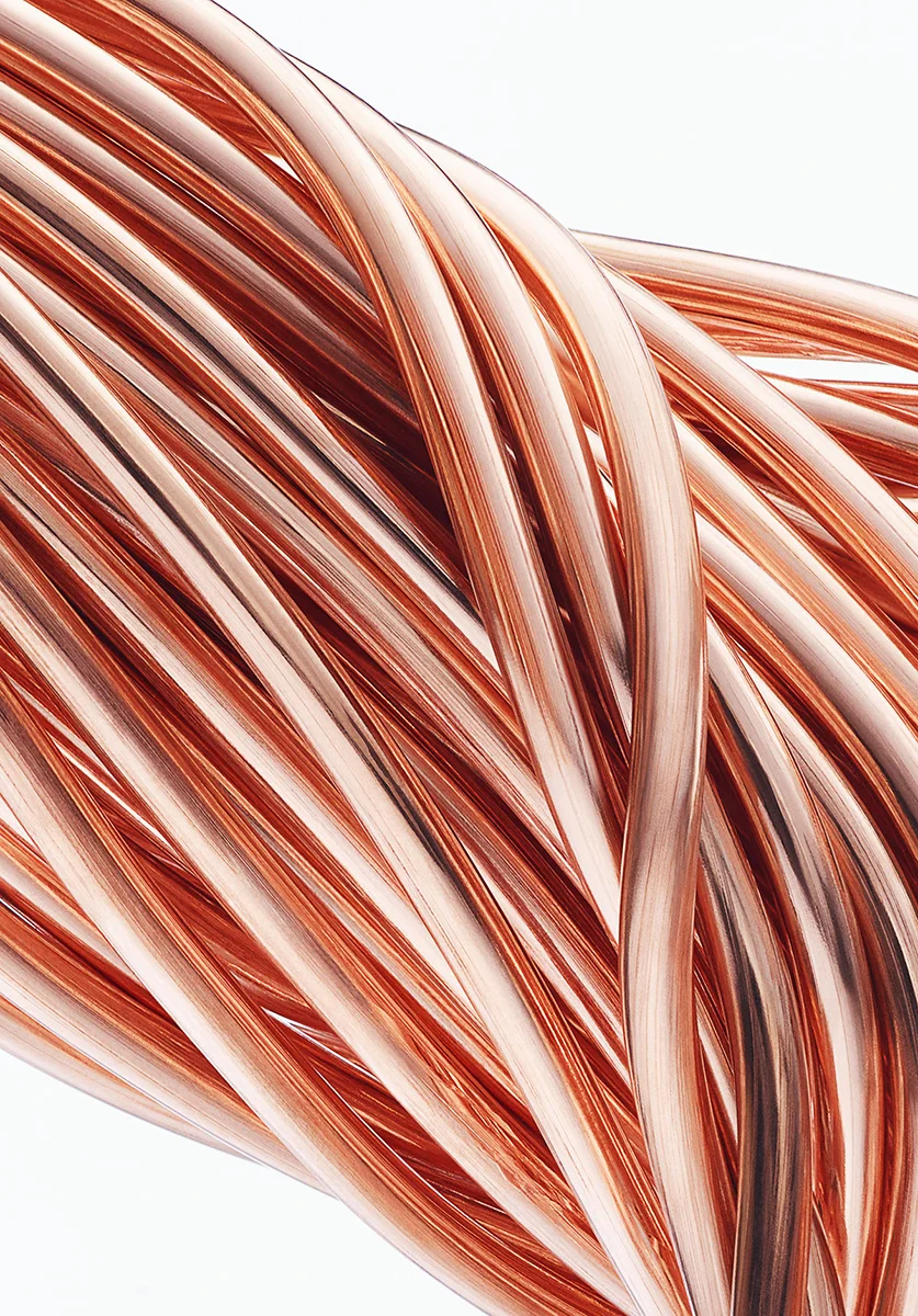 Copper_Roots_crop1_12k.jpg