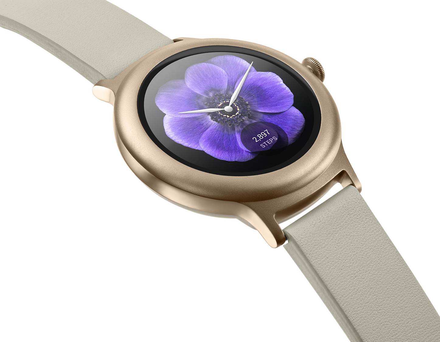 Angelfish_Watch_Gold_TTQ_uncropped_simplified_v6_sm.jpg