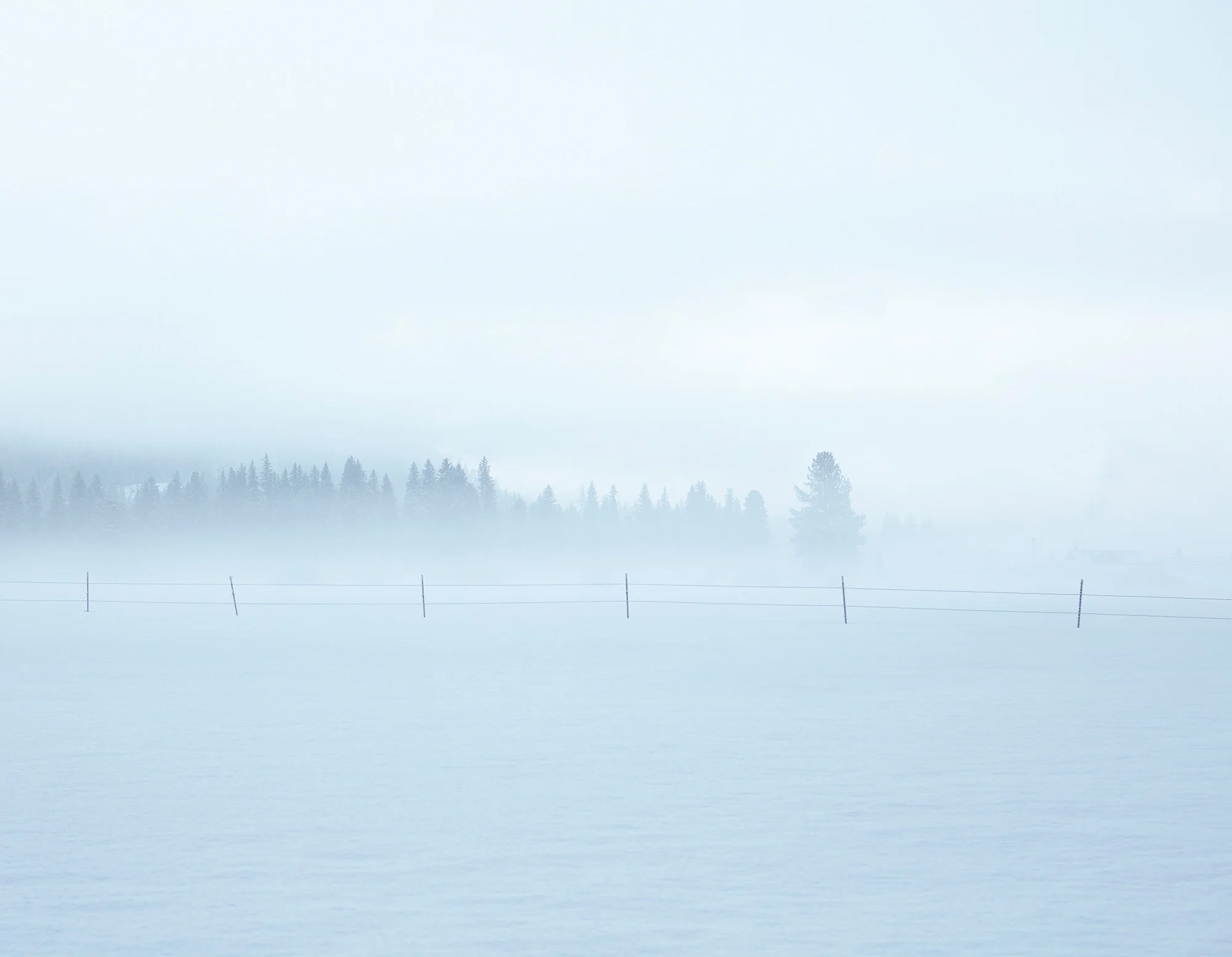 KaltoGF_349_V1.jpg