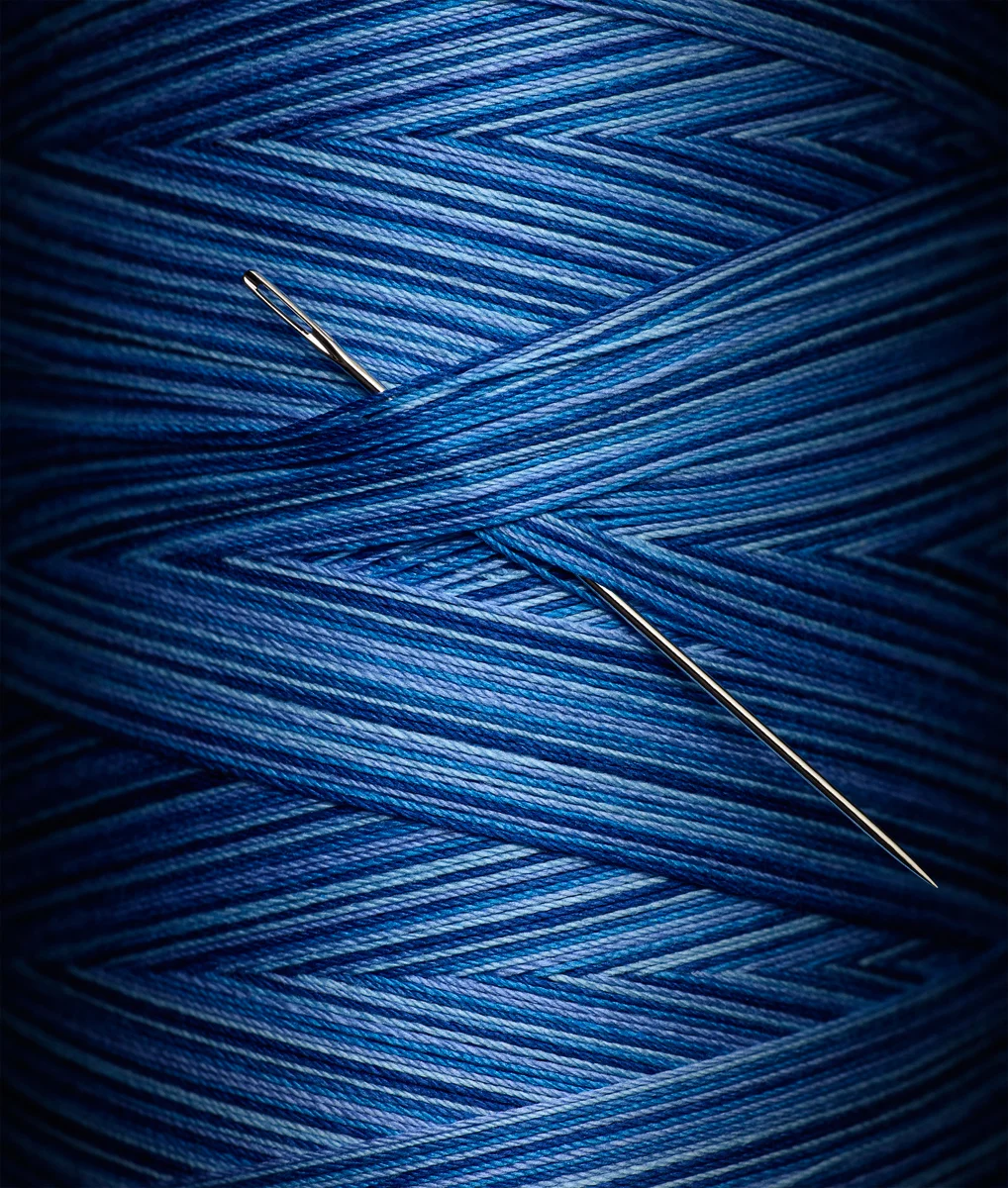 Blue-needle_v1c.jpg
