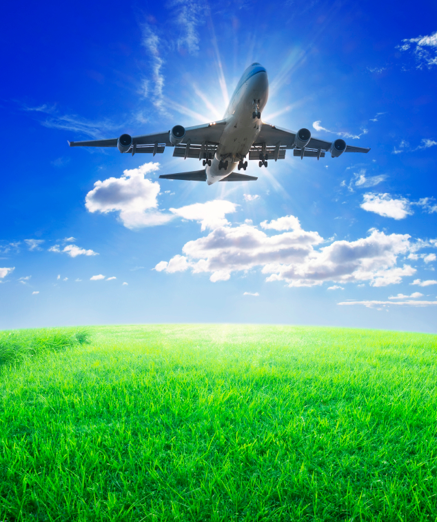 Take off smoothly and stay out of the turbulence with your supplier enrollment campaign.