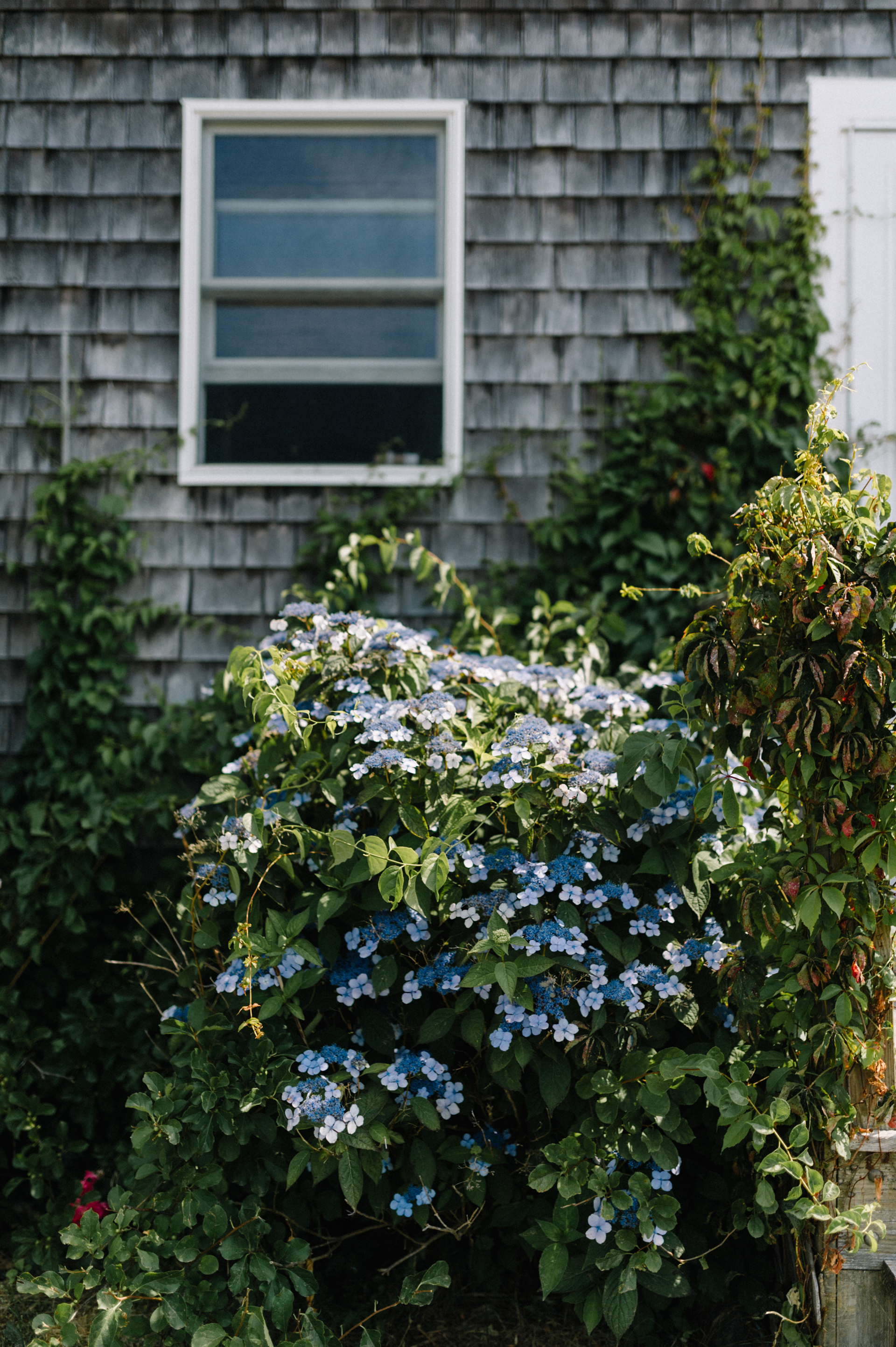 block_island_006.jpg