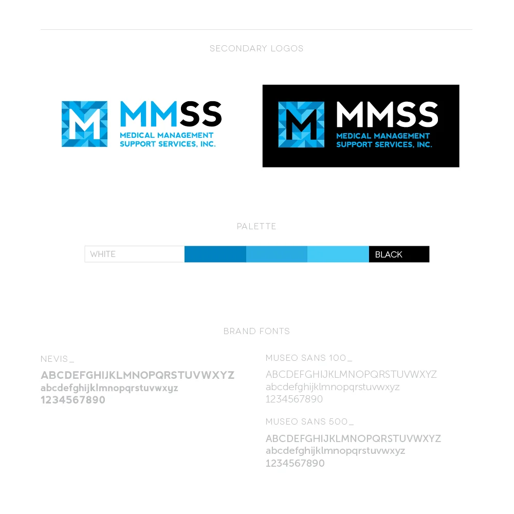 MMSS_overview.jpg